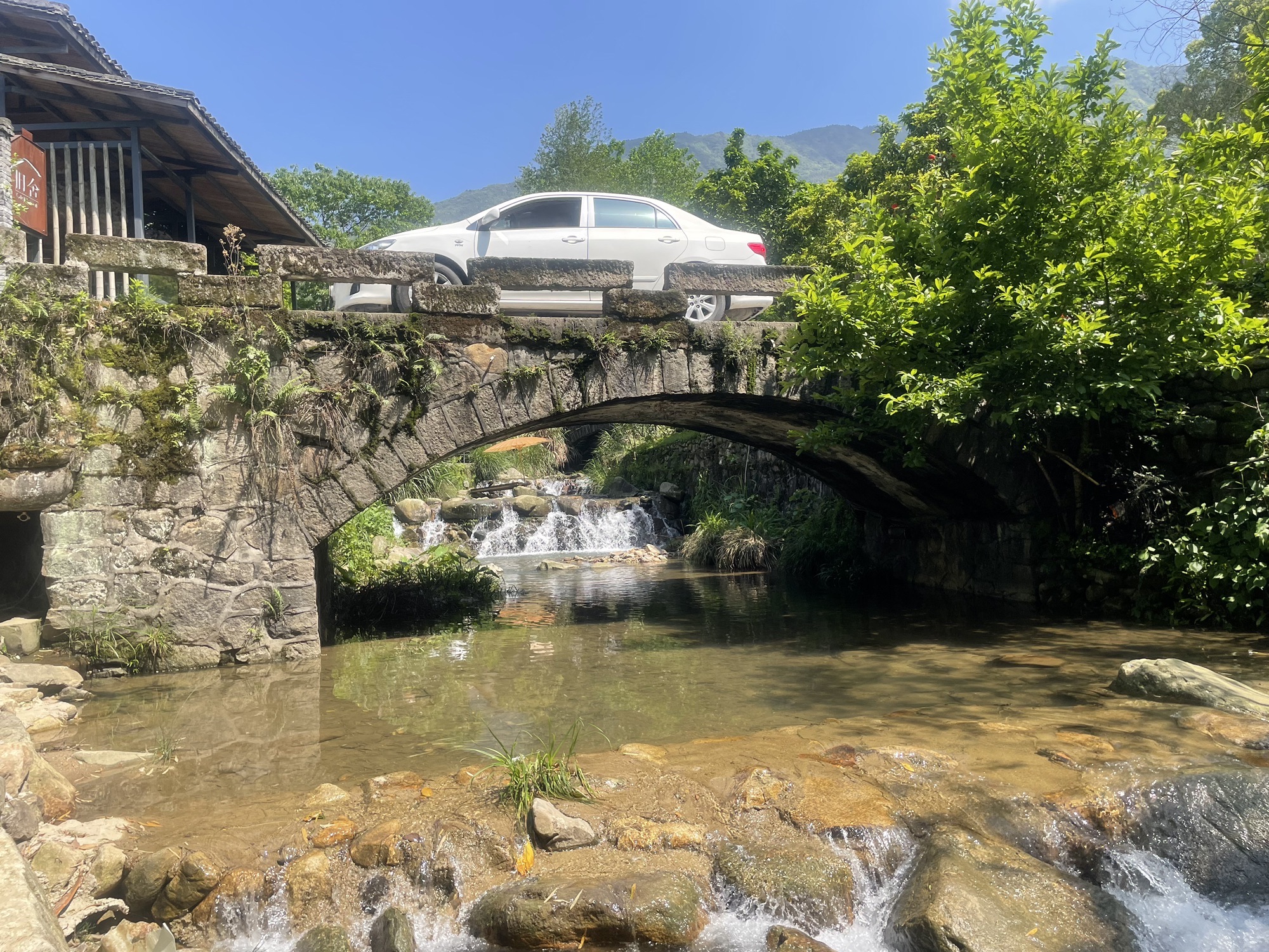 水口乡村森林公园旅行图片 3