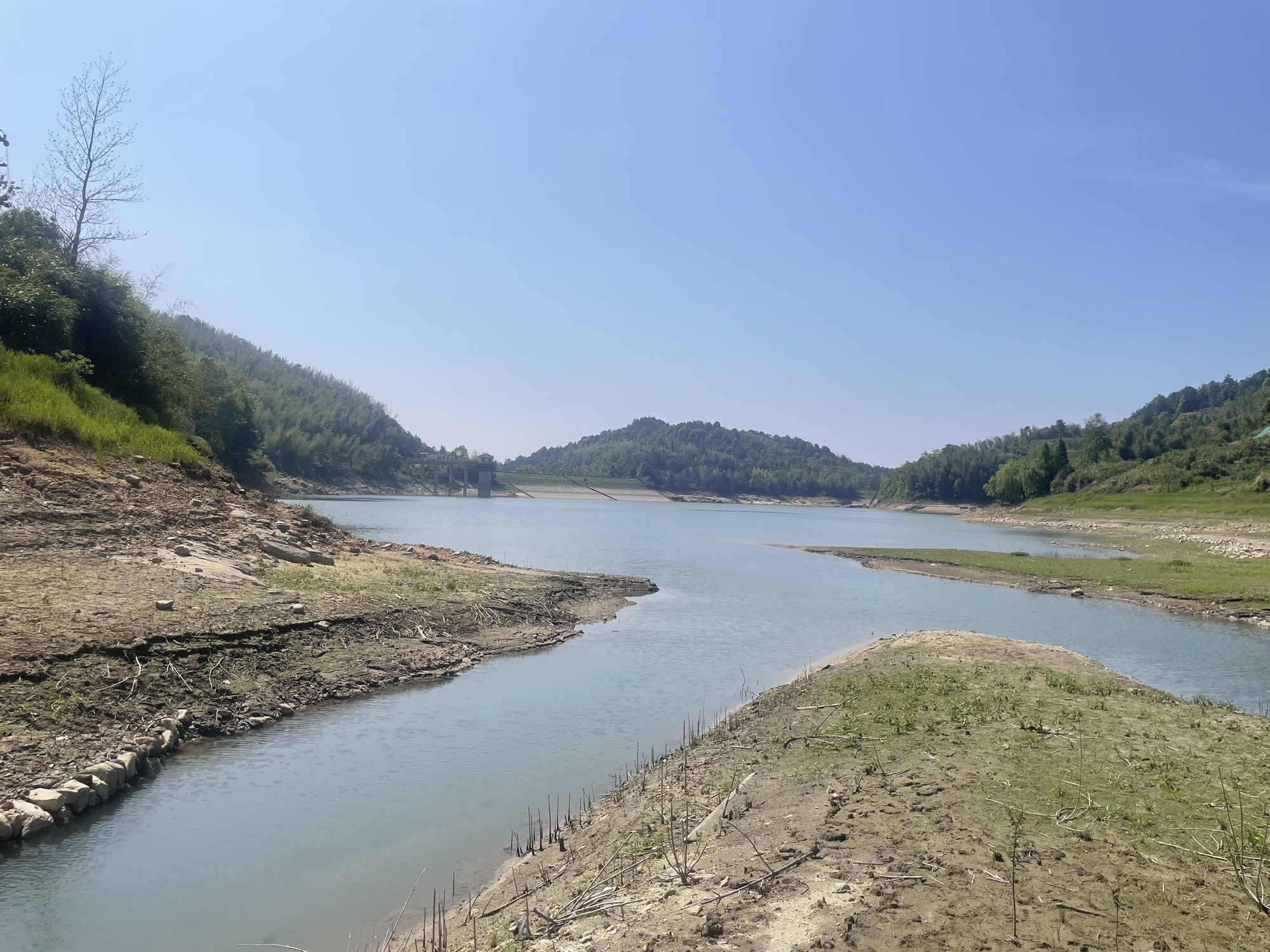 水口乡村森林公园旅行图片 2