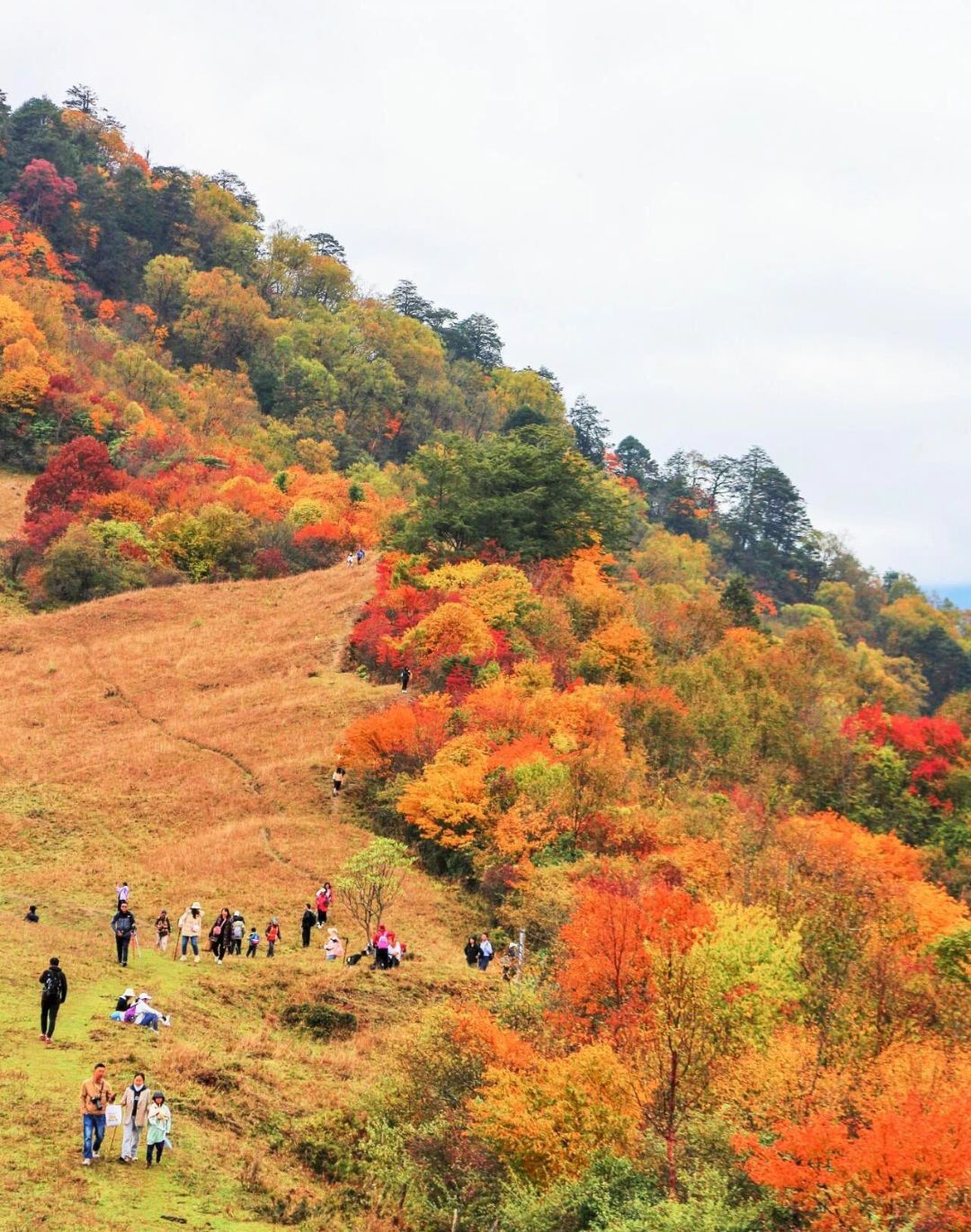 干海子风景区(暂停开放)旅行图片 3