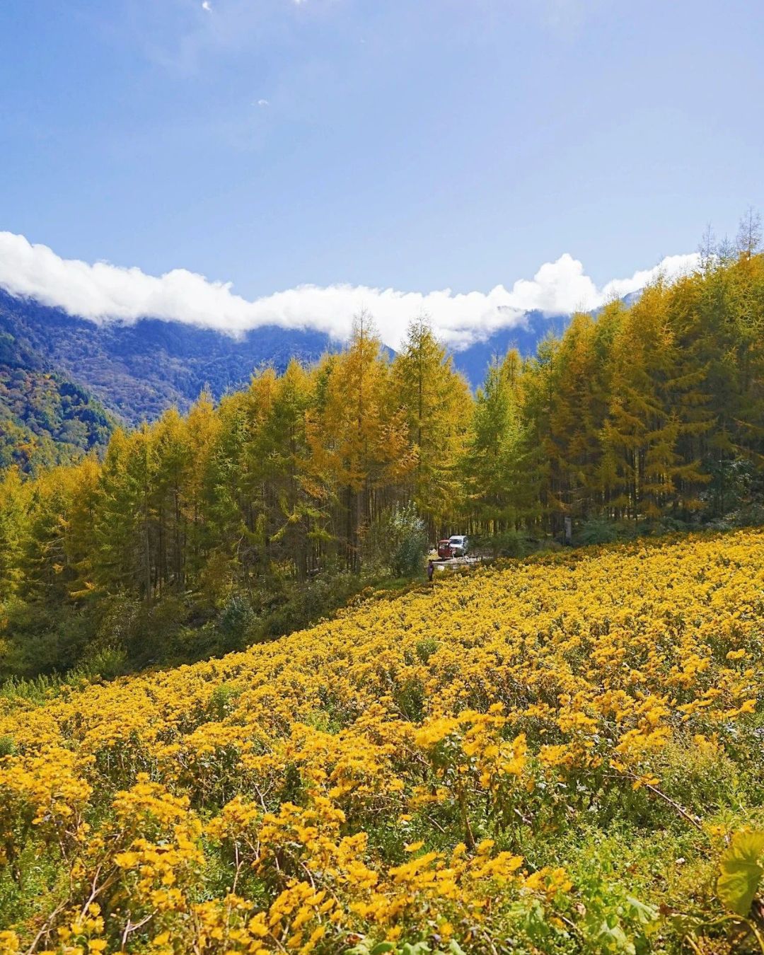 干海子风景区(暂停开放)旅行图片 1