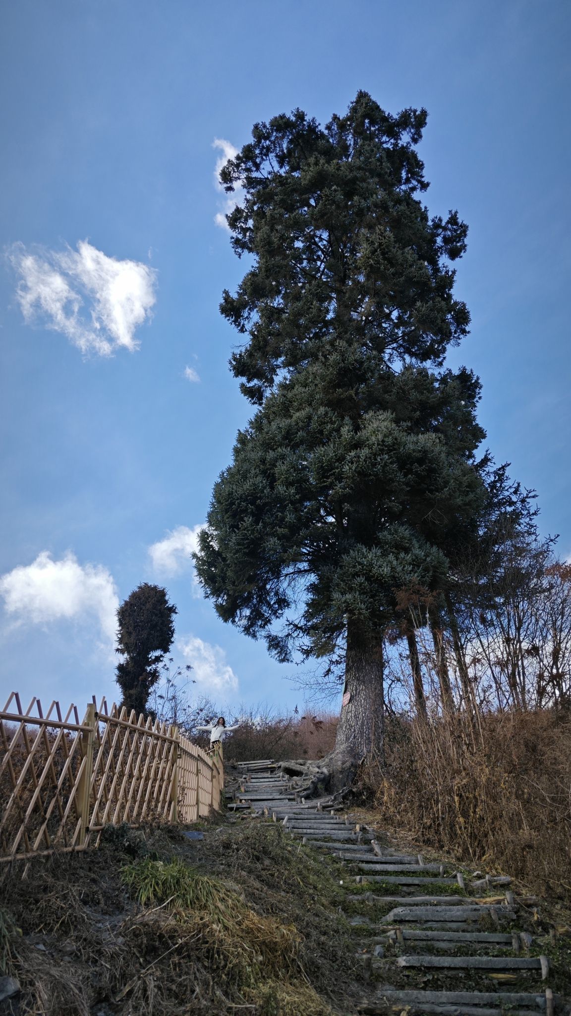 干海子风景区(暂停开放)旅行图片 1