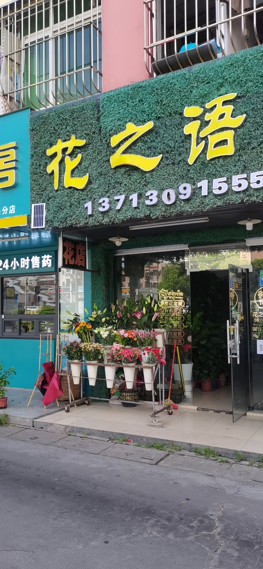 花之语花店·花篮·鲜花花束·发财树·金钱树(厚街花店)