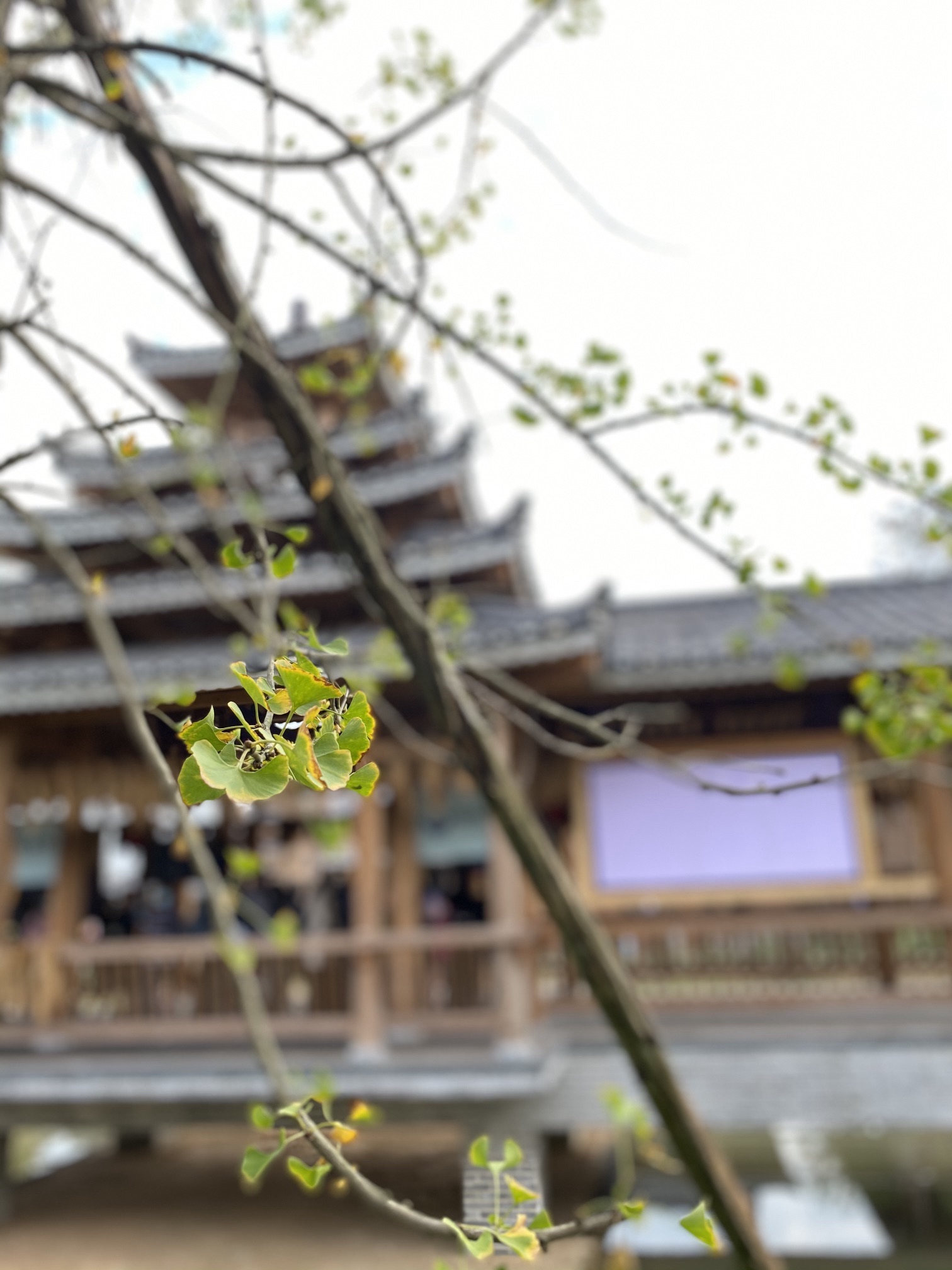 佑子湾民俗风情园旅行图片 3