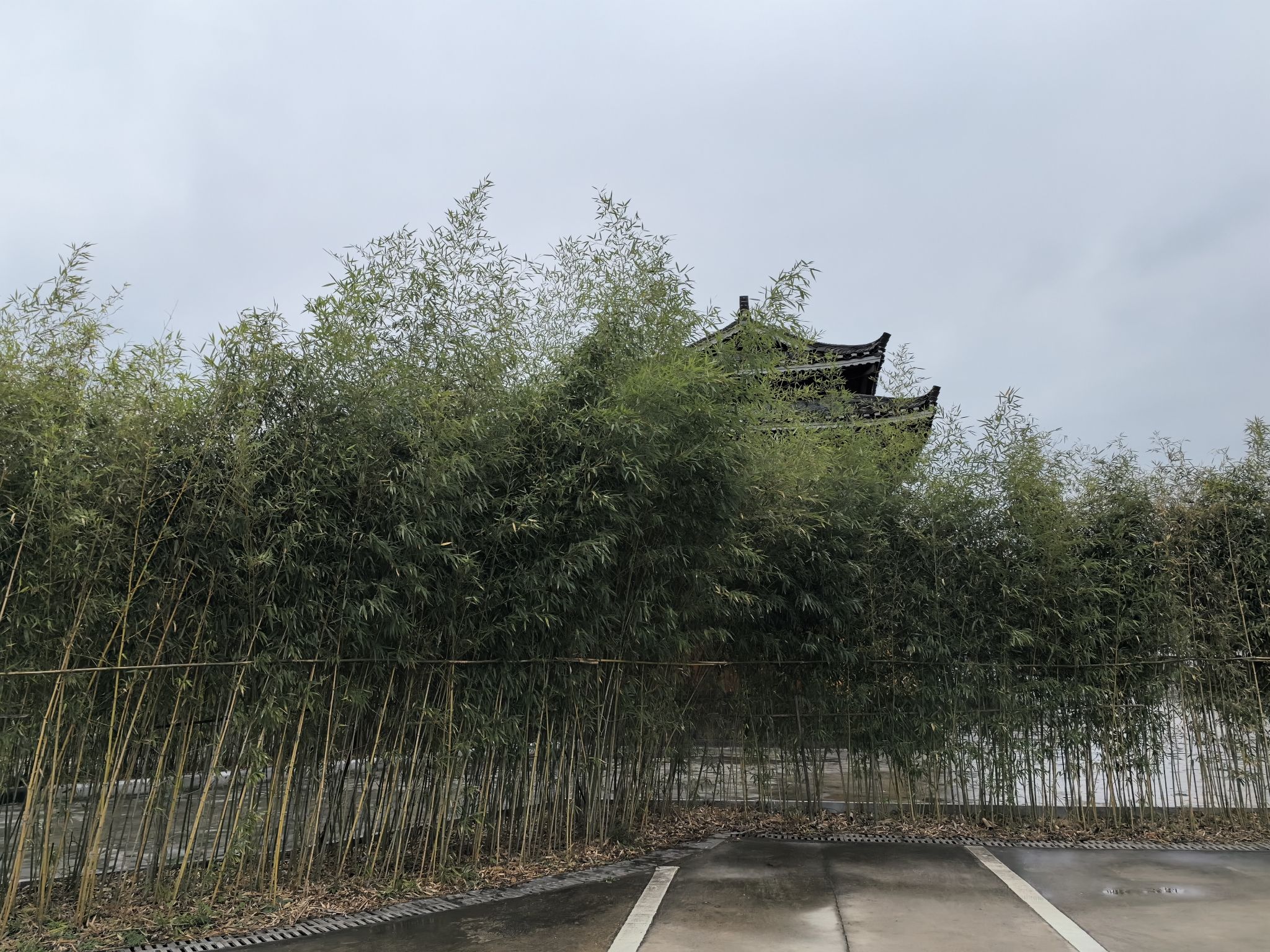 佑子湾民俗风情园旅行图片 2