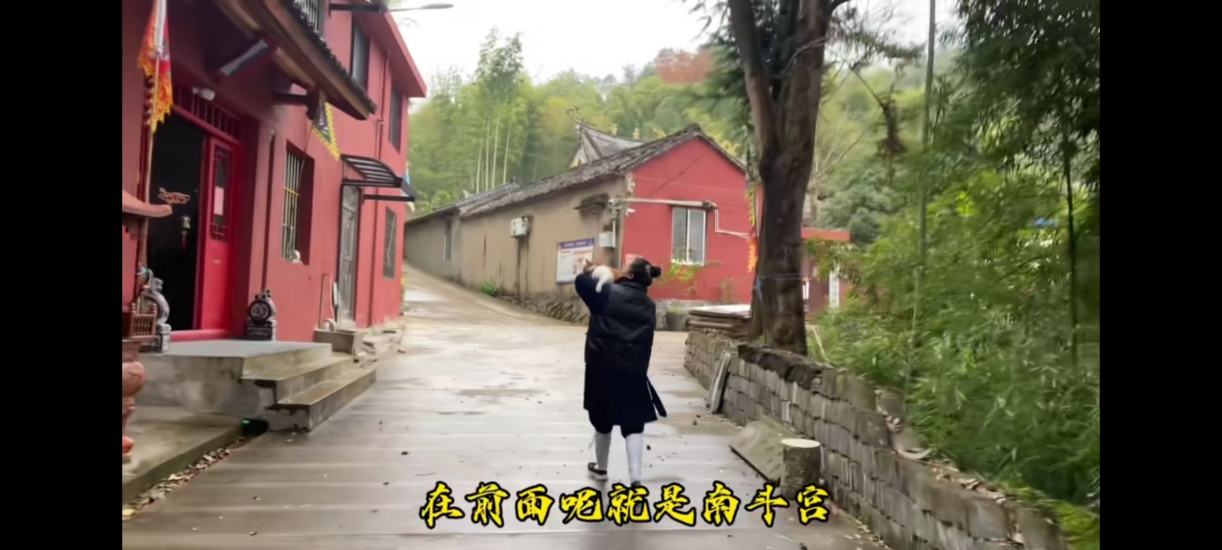 南斗宫旅行图片 3