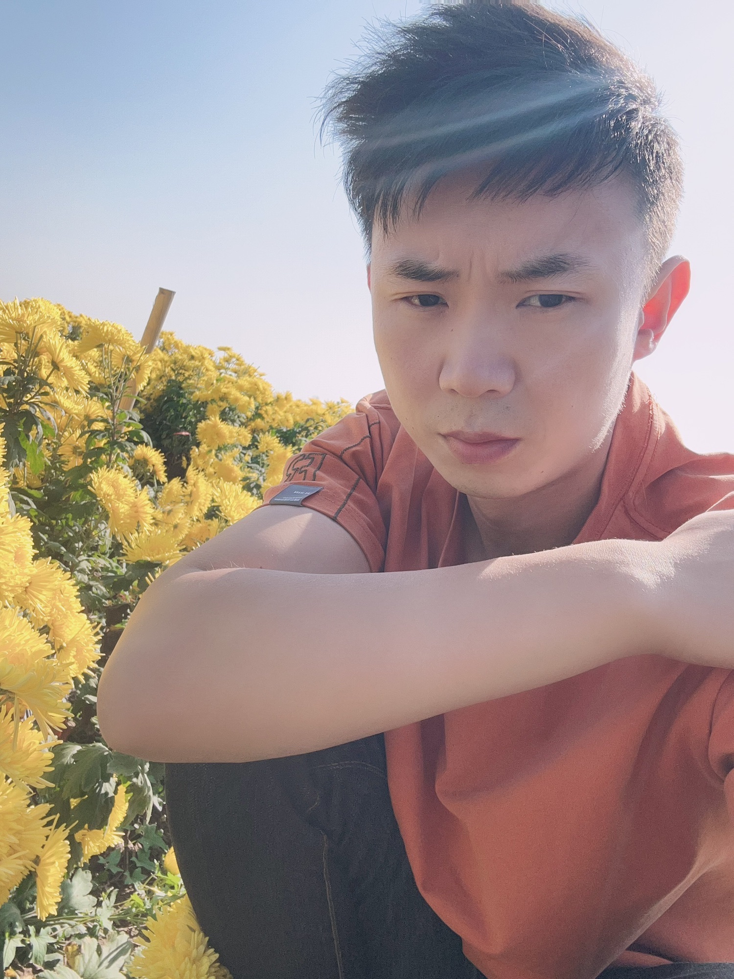 方城清河菊花园旅行图片 2
