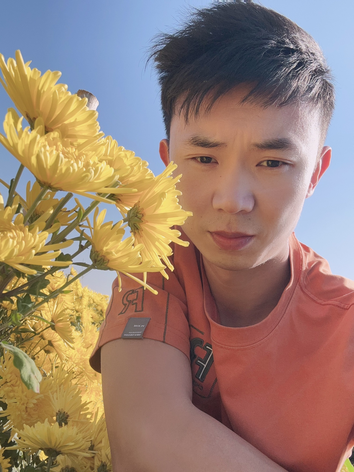 方城清河菊花园旅行图片 1