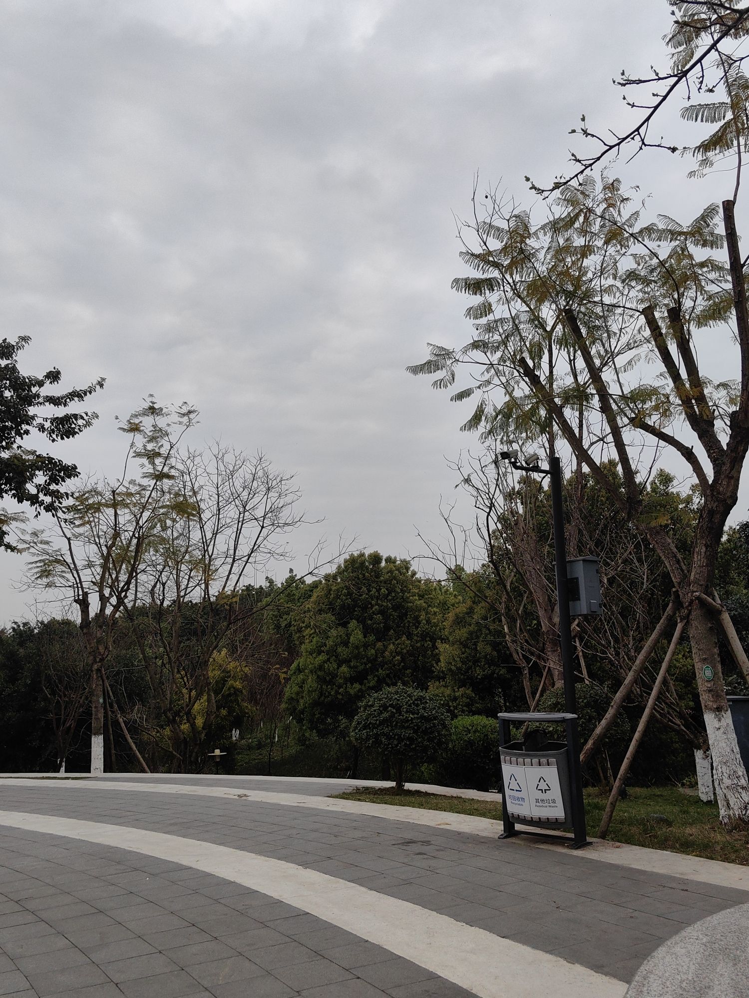 礼嘉智慧公园旅行图片 1
