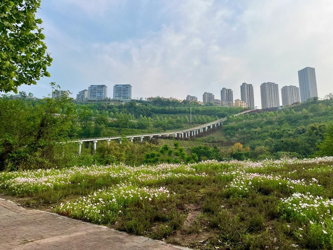 礼嘉智慧公园旅行图片 2