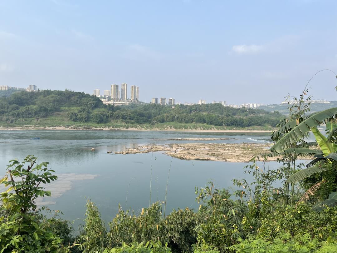 礼嘉智慧公园旅行图片 1