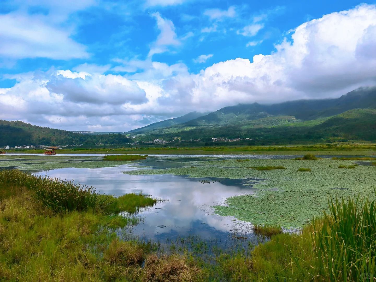北海湿地公园旅行图片 2