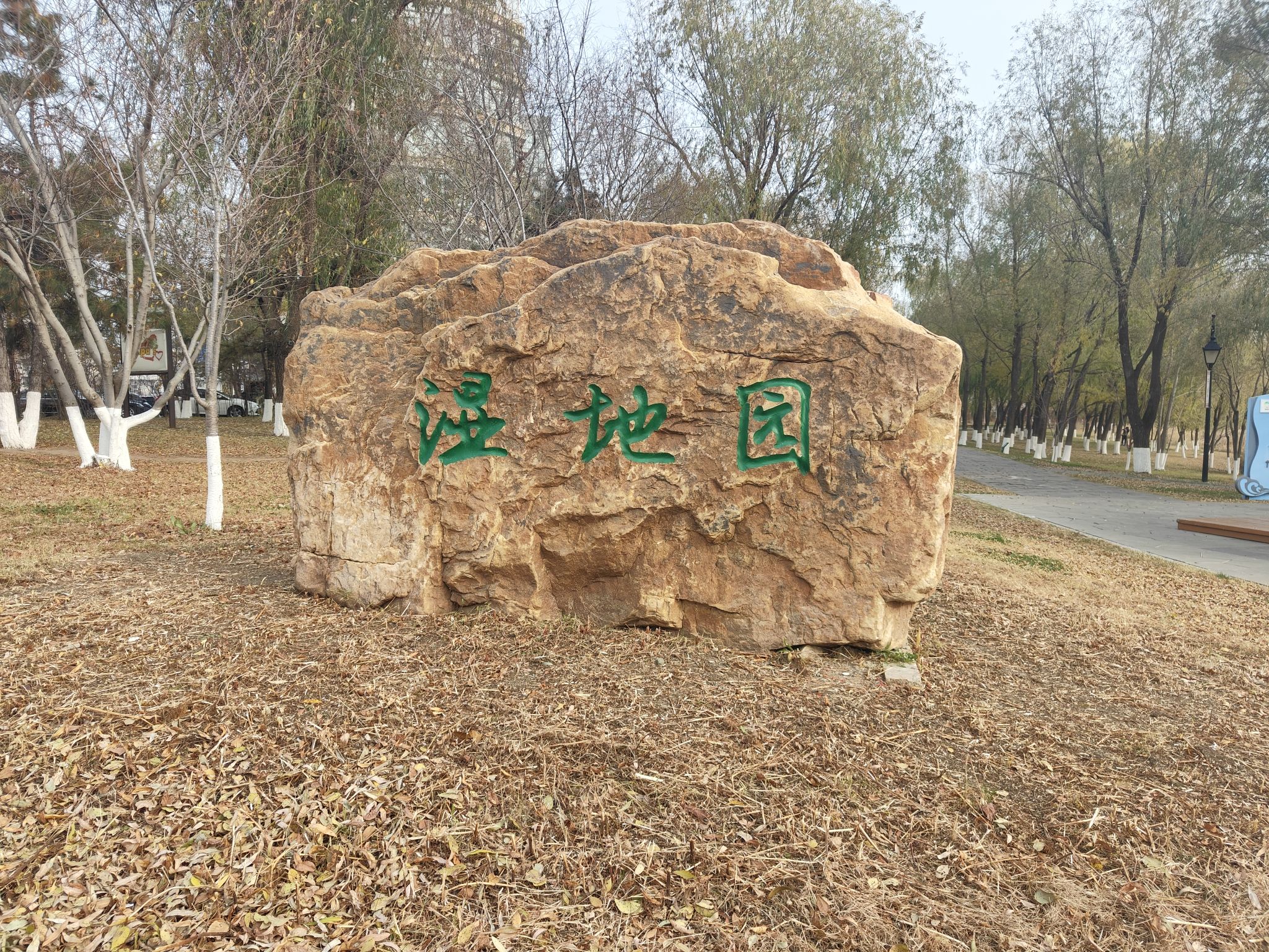 北海湿地公园旅行图片 2