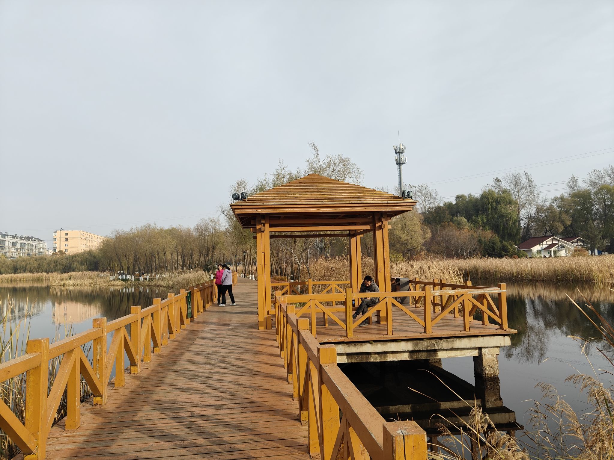 北海湿地公园旅行图片 3