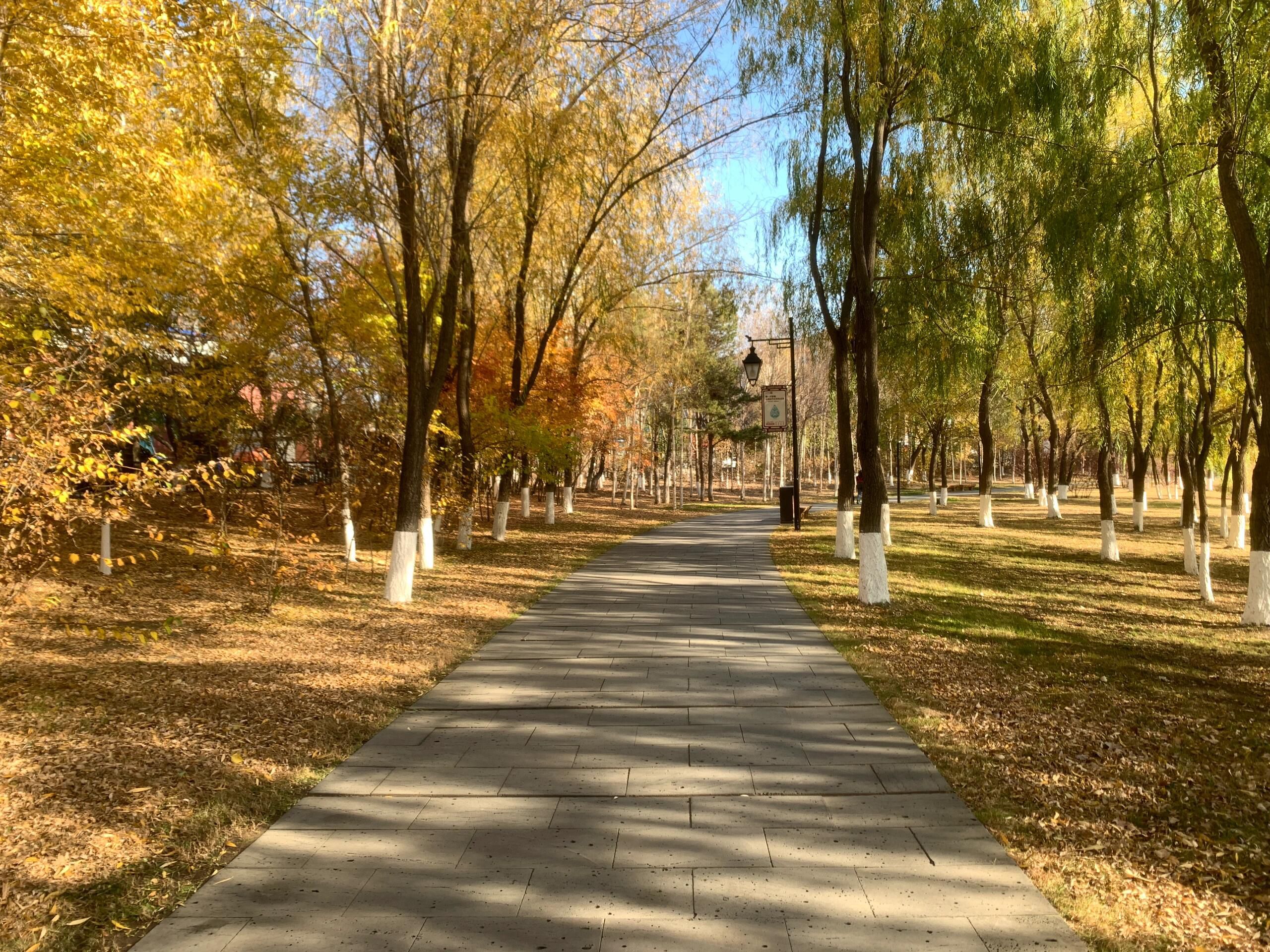 北海湿地公园旅行图片 3