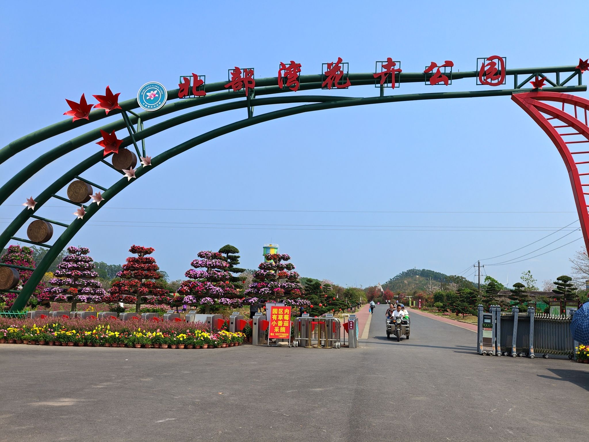 北部湾花卉公园景点图片