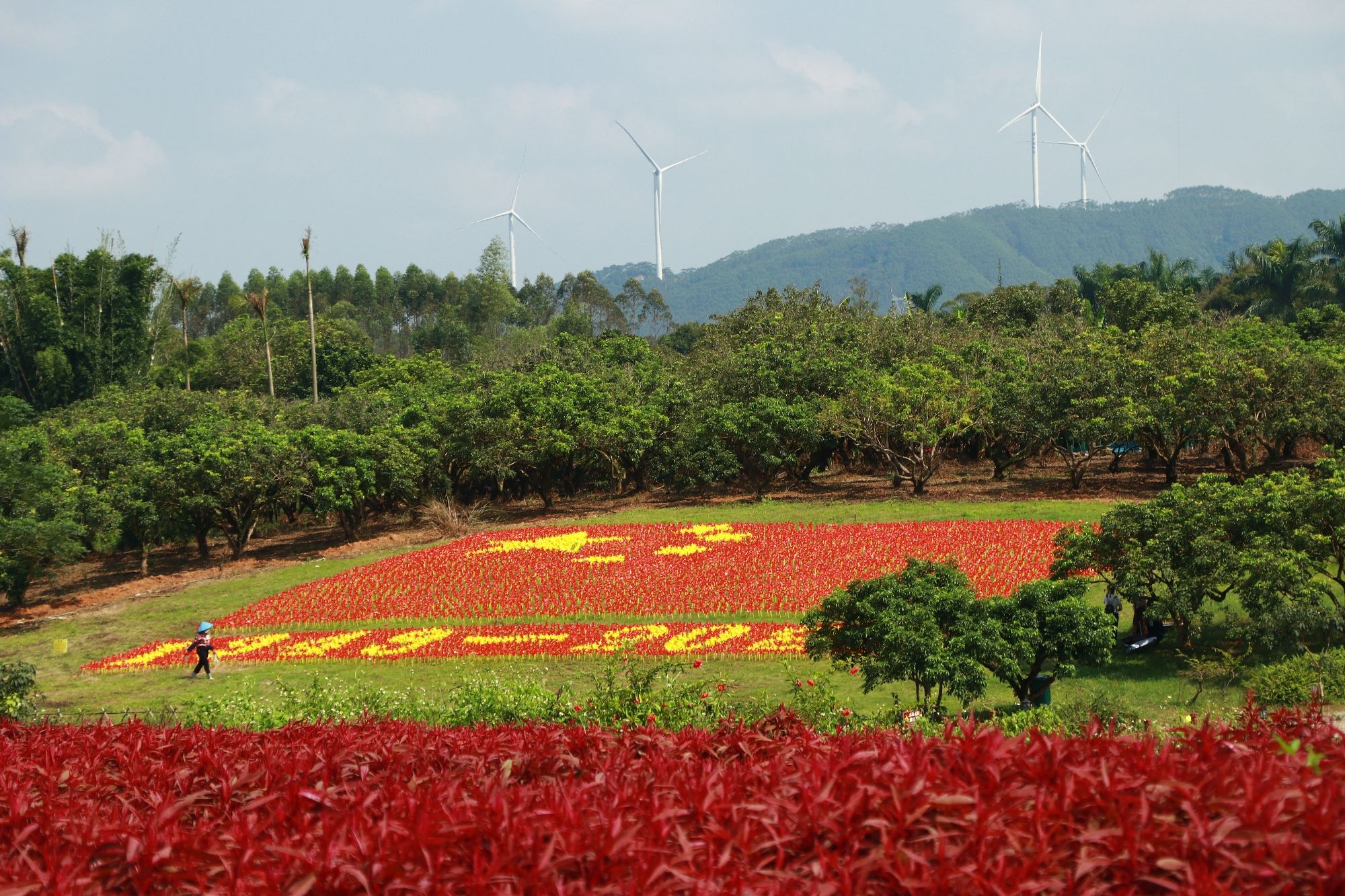 北部湾花卉公园