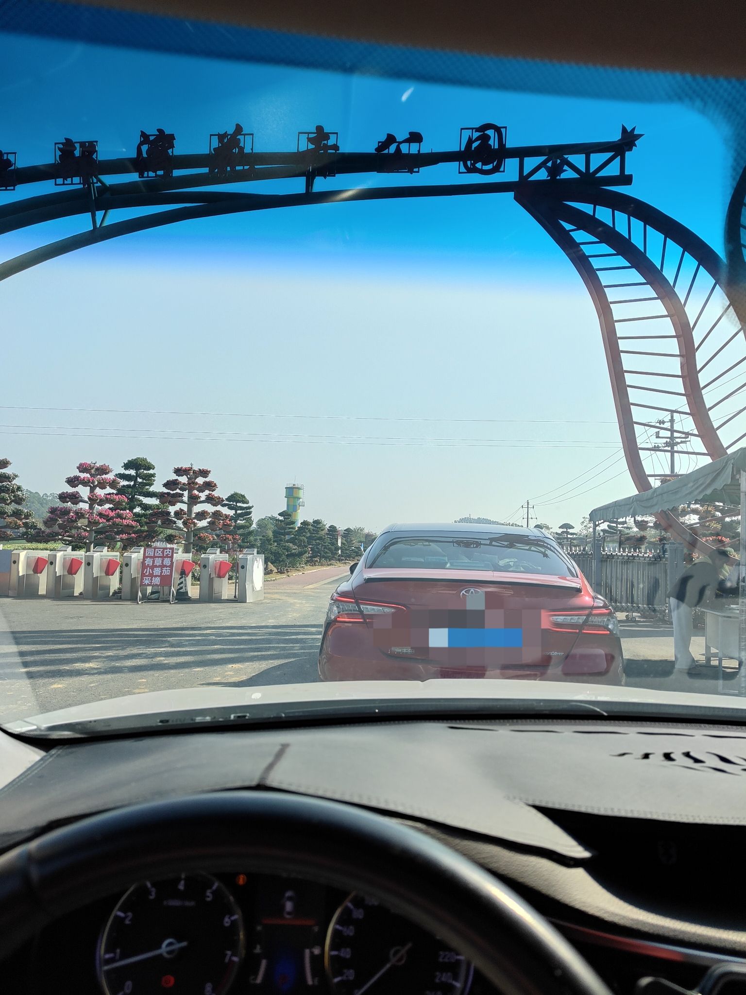 北部湾花卉公园旅行图片 1