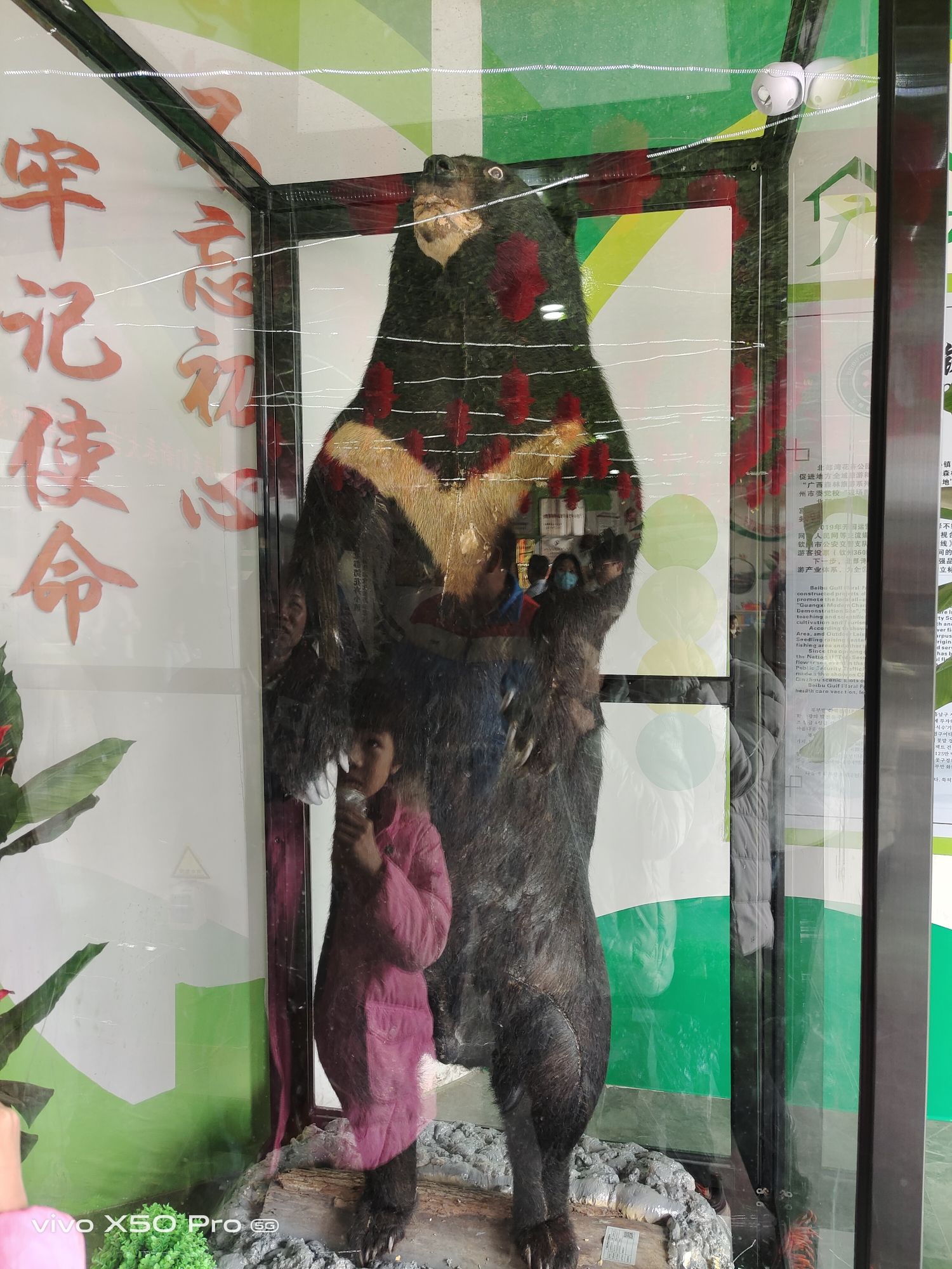 北部湾花卉公园旅行图片 3