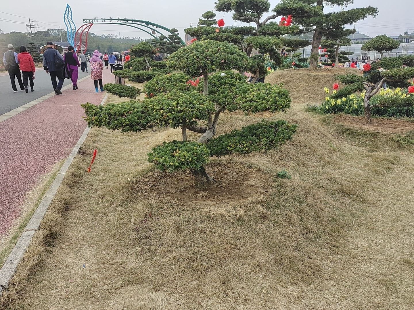北部湾花卉公园旅行图片 1