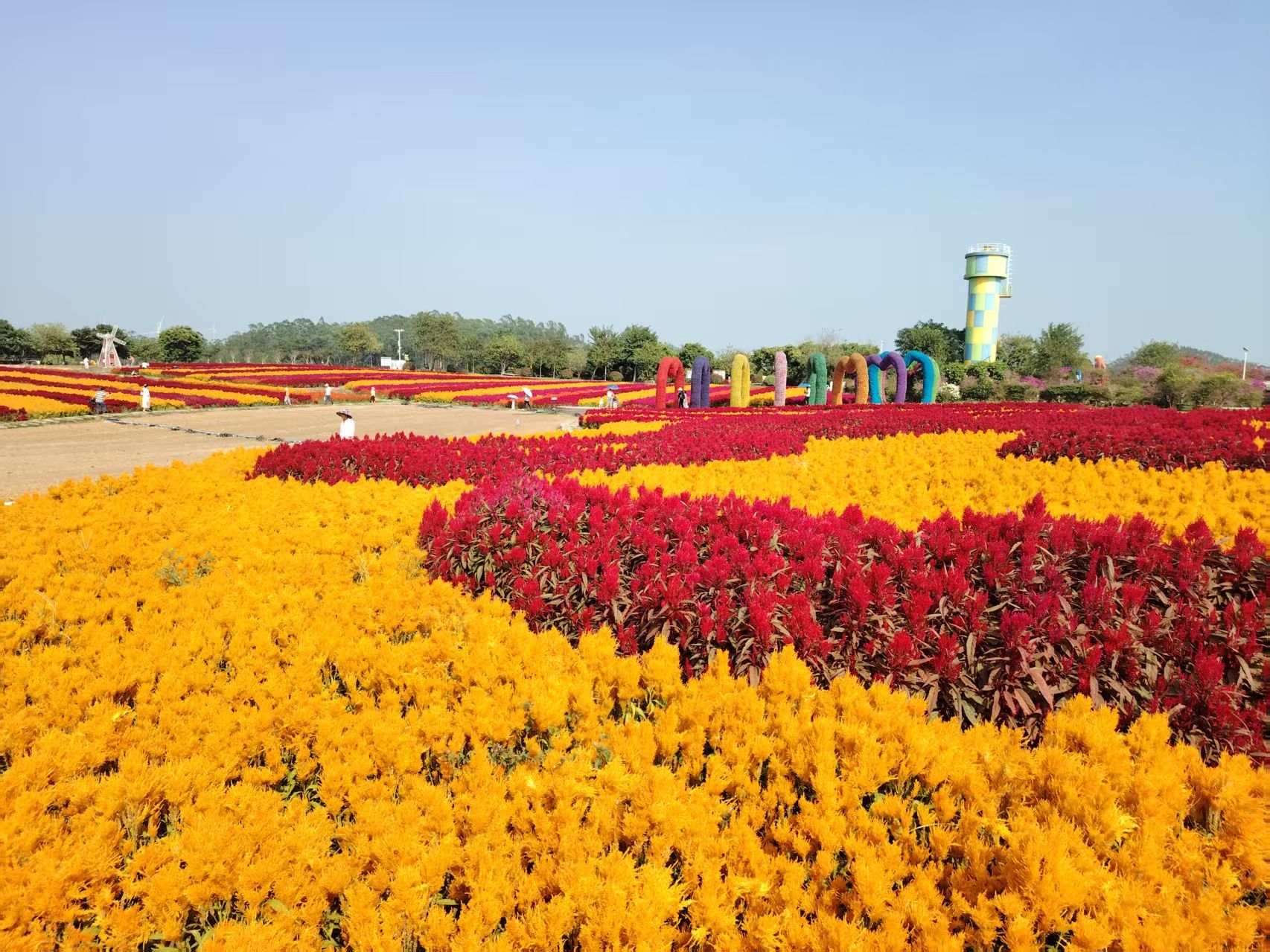 北部湾花卉公园