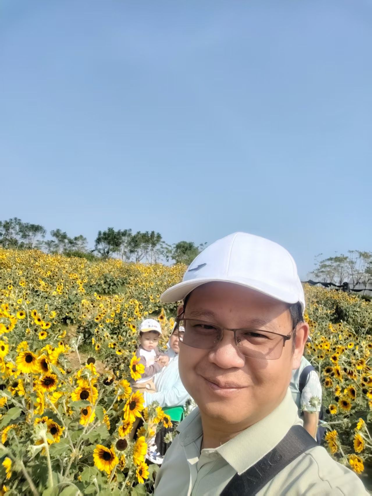 北部湾花卉公园旅行图片 2
