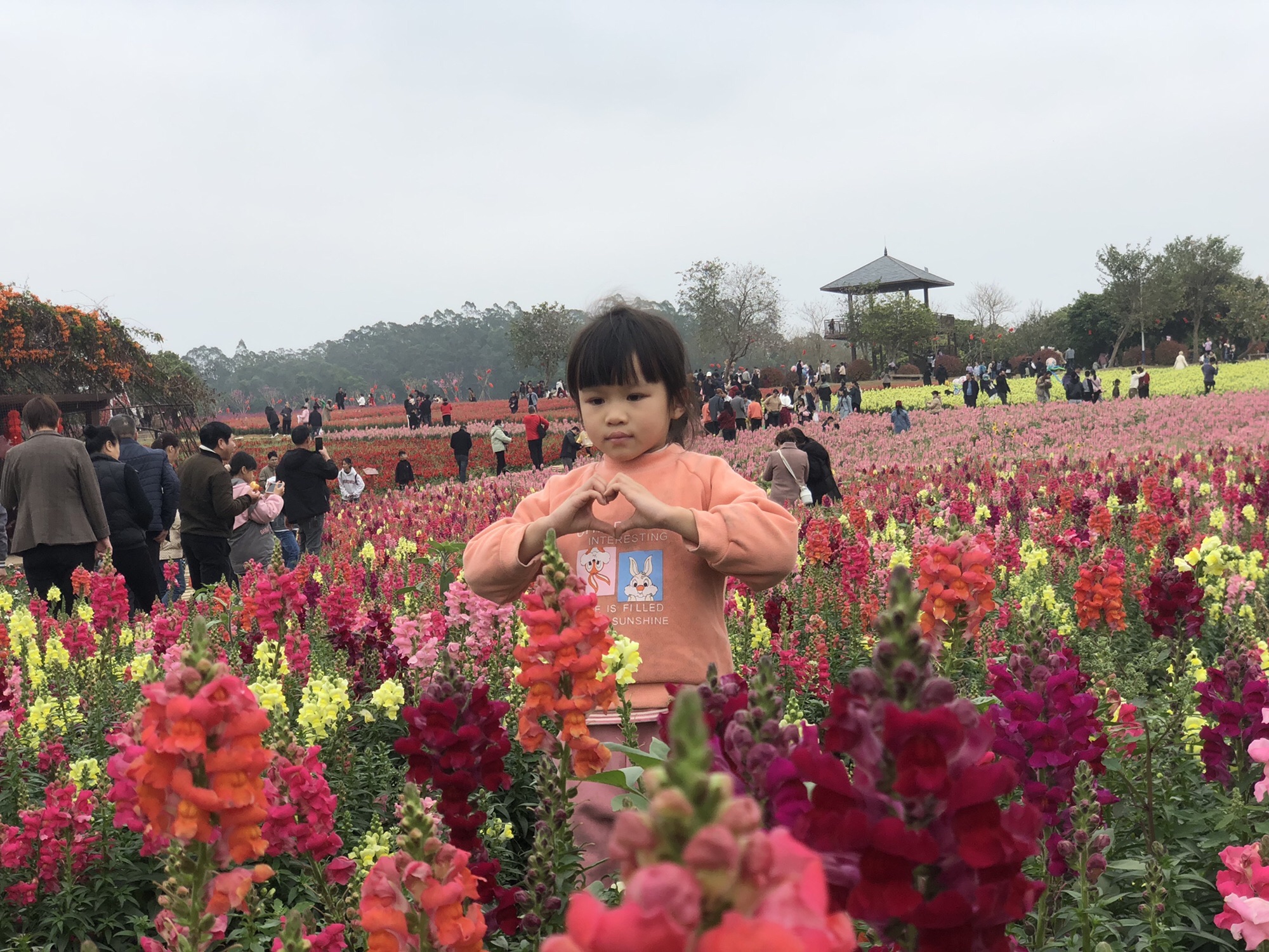 北部湾花卉公园旅行图片 2