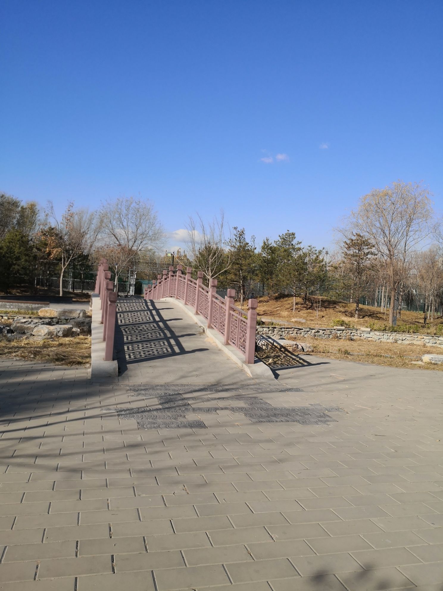大瓦窑公园旅行图片 3