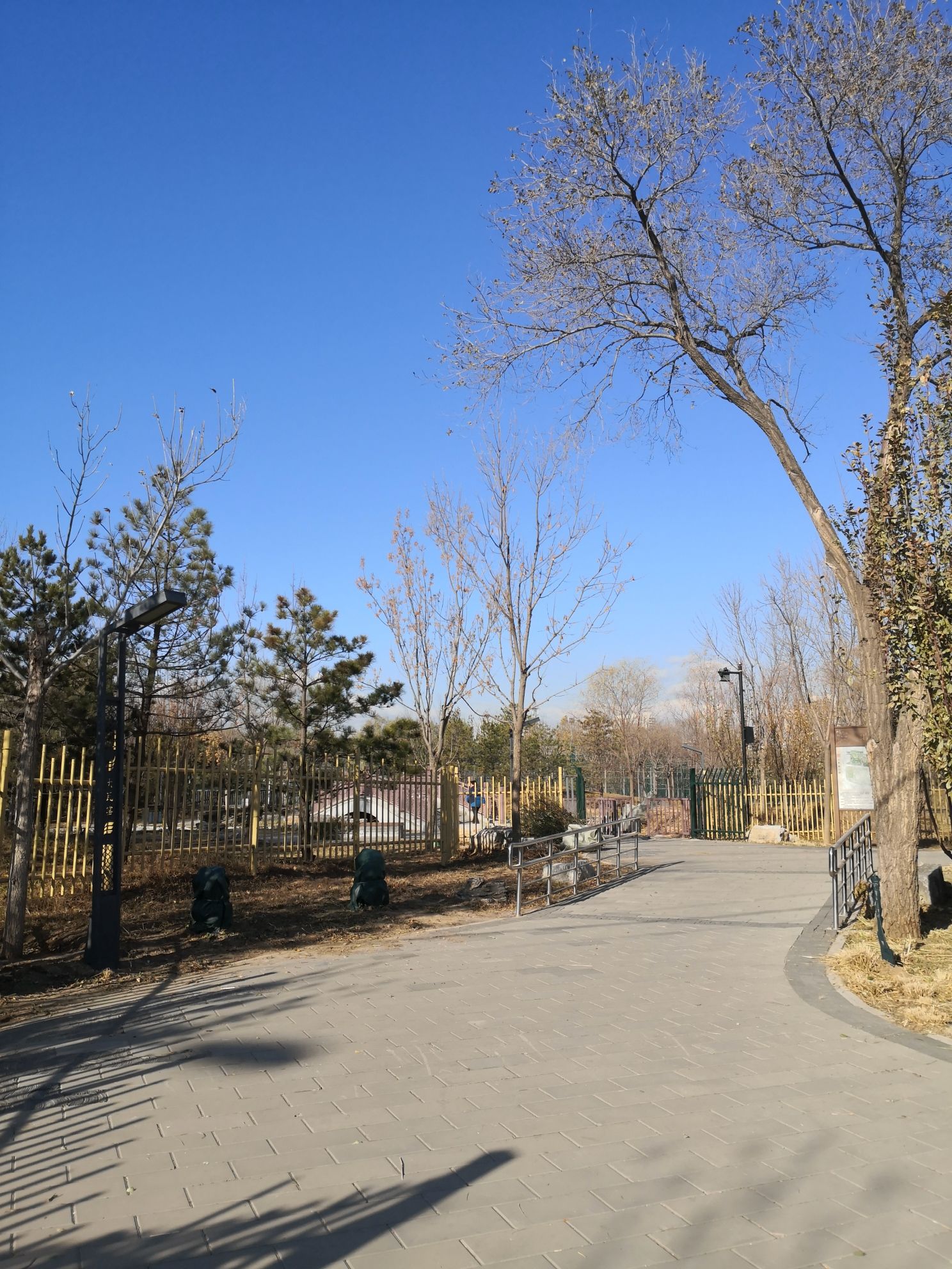 大瓦窑公园旅行图片 1