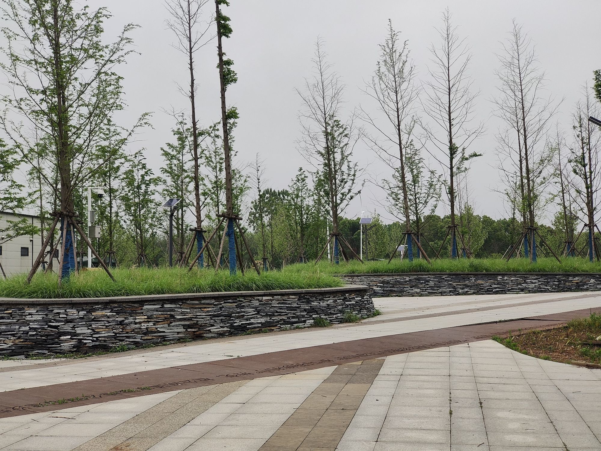 武汉杜公湖国家湿地公园旅行图片 1