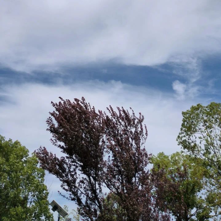 武汉杜公湖国家湿地公园旅行图片 2
