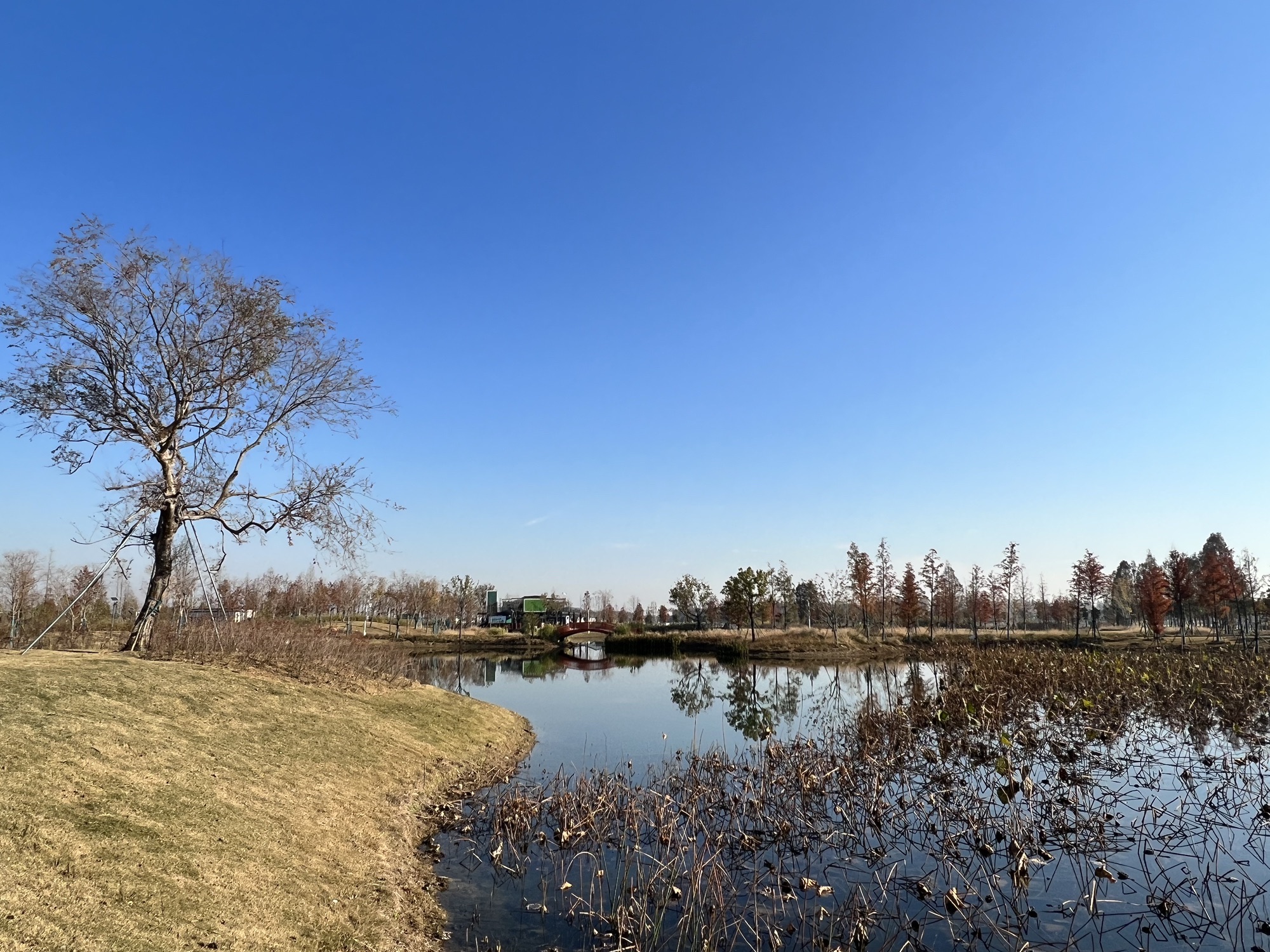 武汉杜公湖国家湿地公园旅行图片 3
