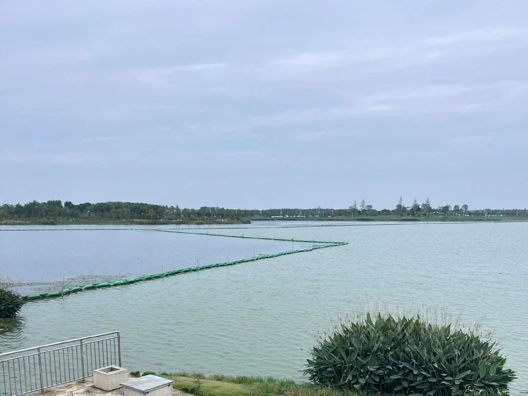 武汉杜公湖国家湿地公园旅行图片 3