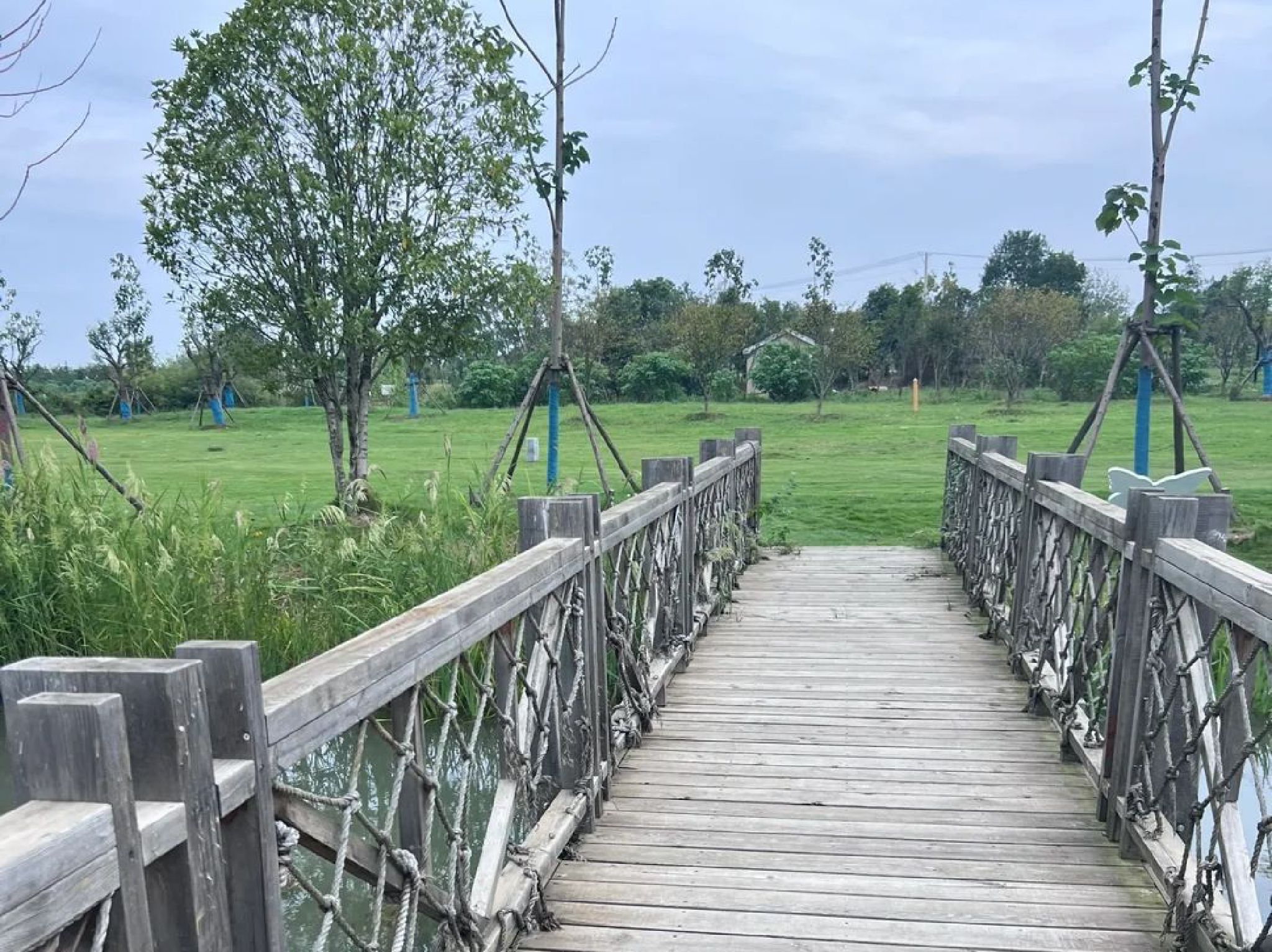 武汉杜公湖国家湿地公园旅行图片 2