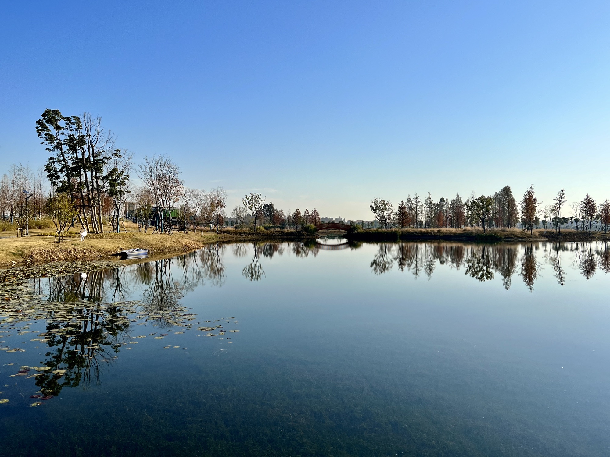 武汉杜公湖国家湿地公园旅行图片 1