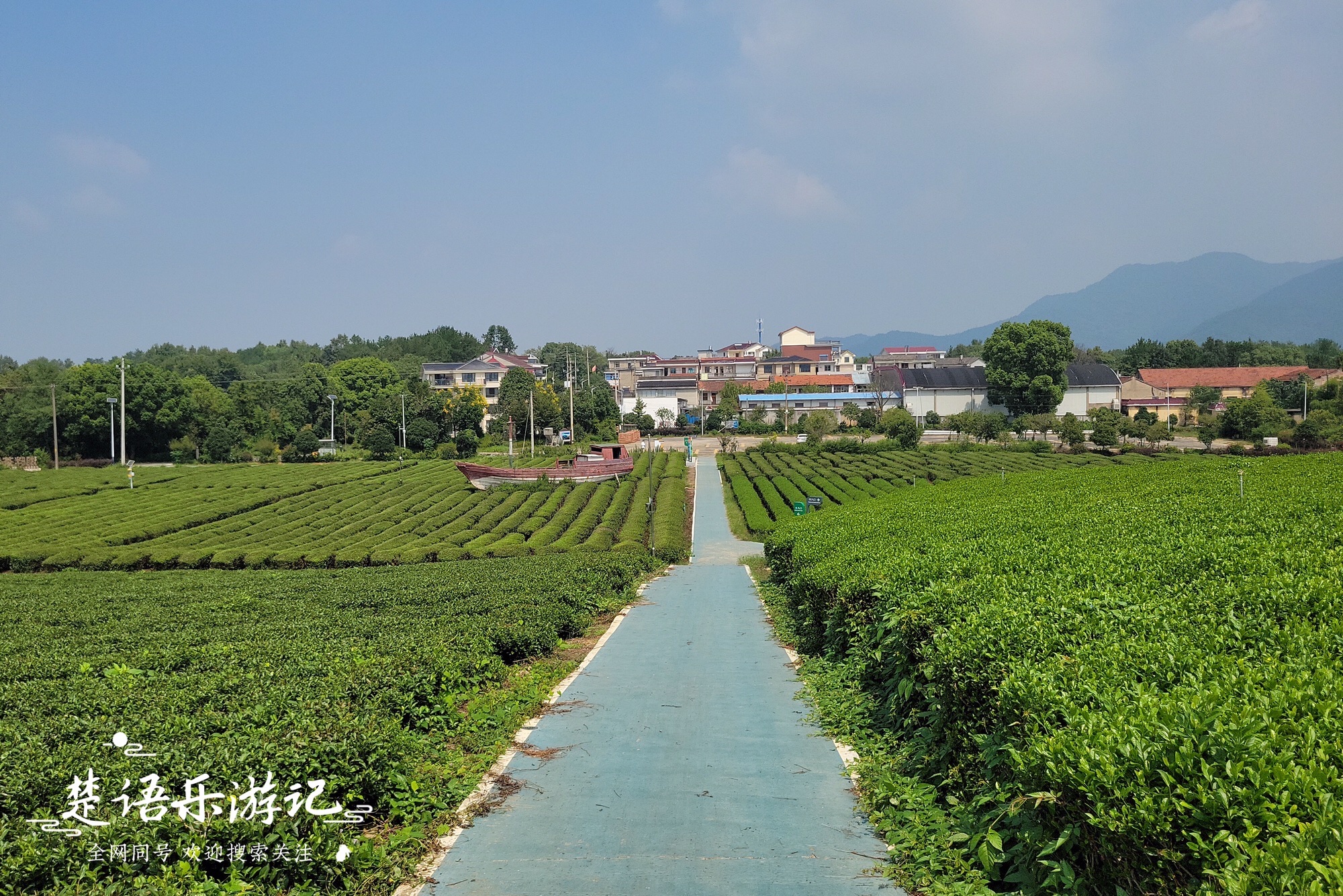 东郑村左岸花乡旅行图片 2