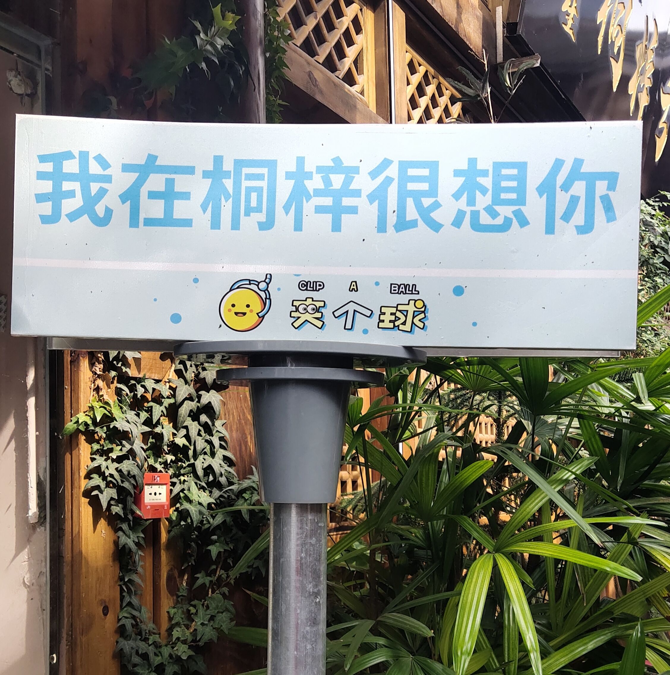桐梓记忆旅行图片