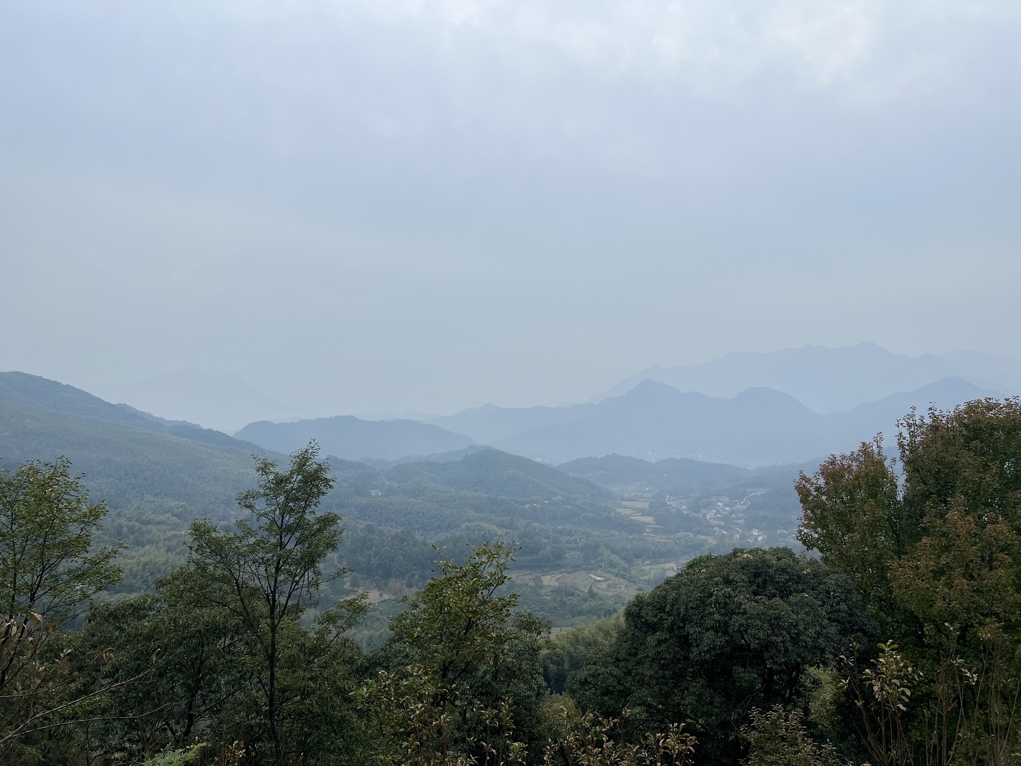 九里云海旅行图片 1