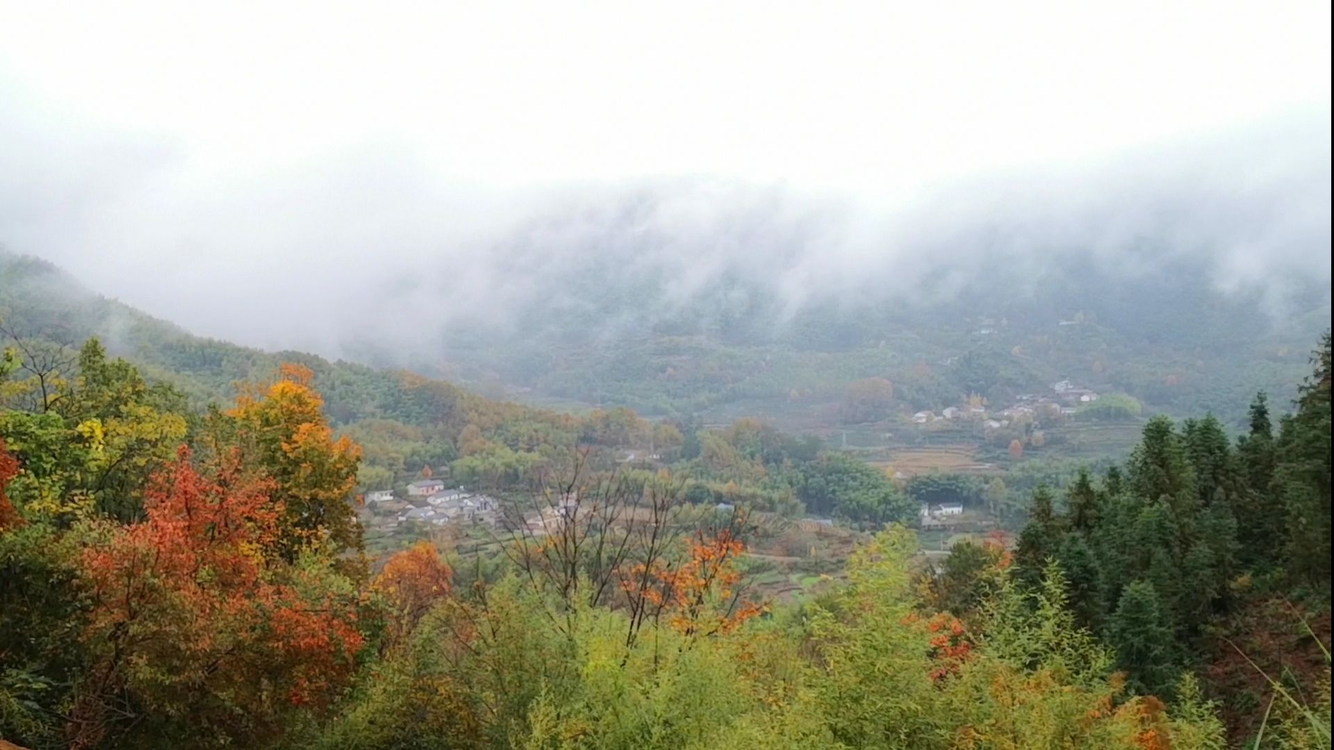 九里云海旅行图片 1