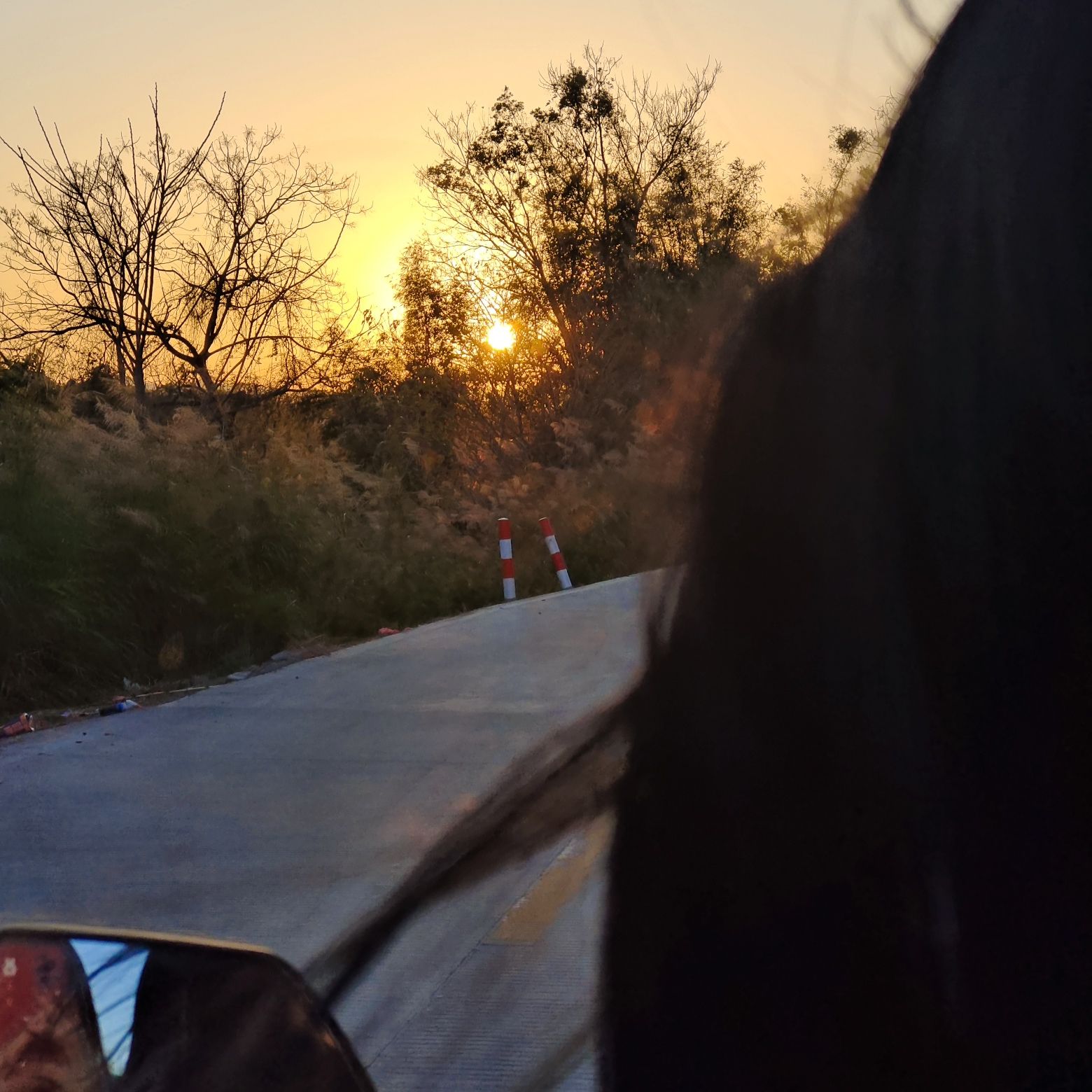 合水荔枝公园旅行图片 3