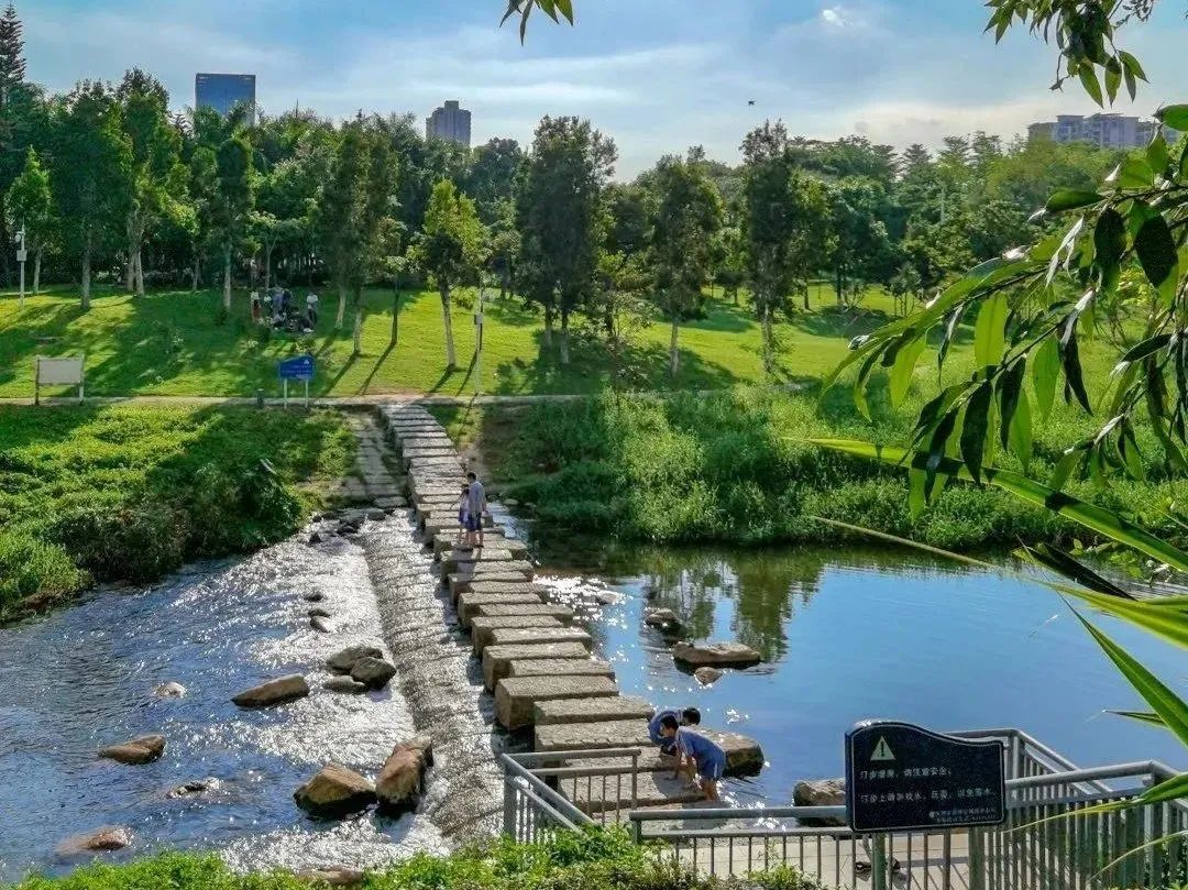 深圳市中心市级湿地公园