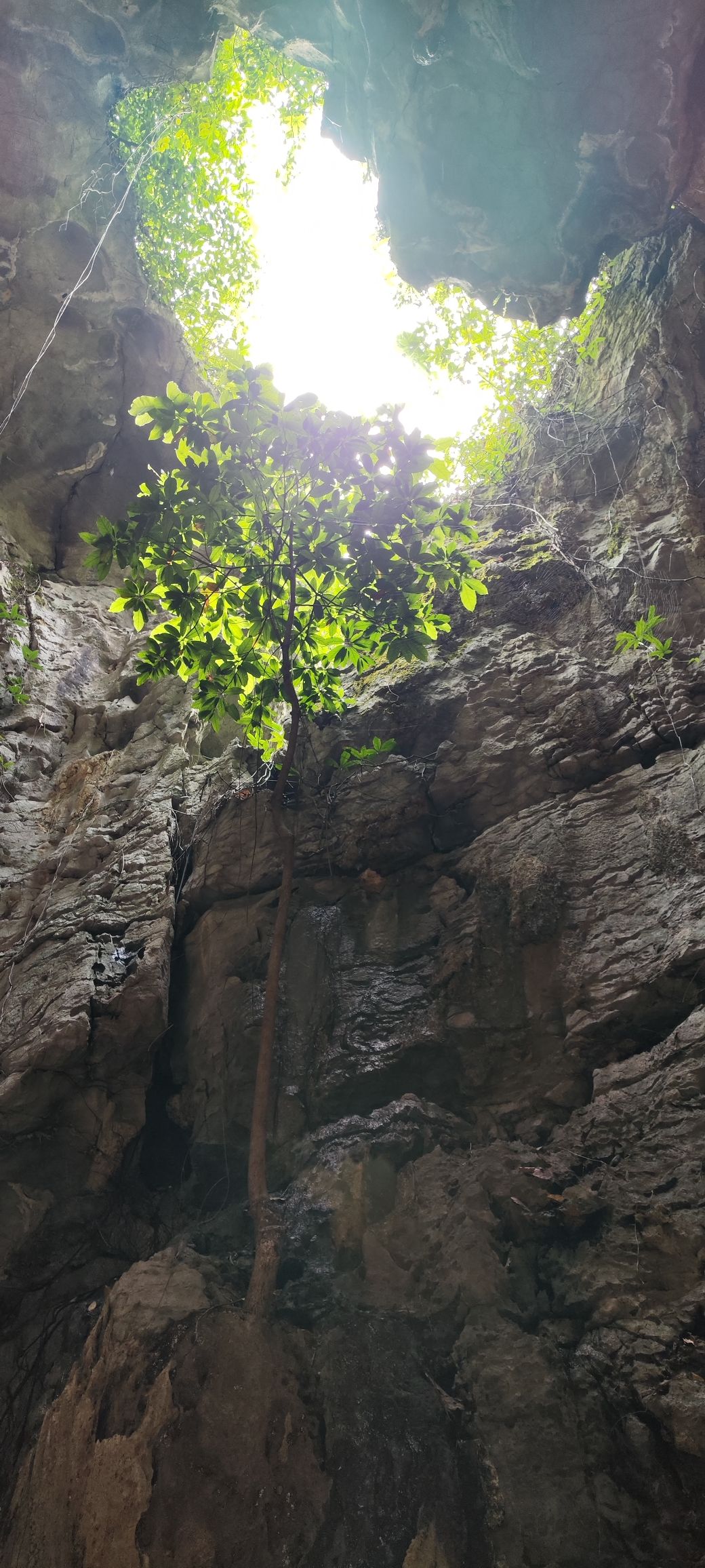 观音洞旅行图片 1