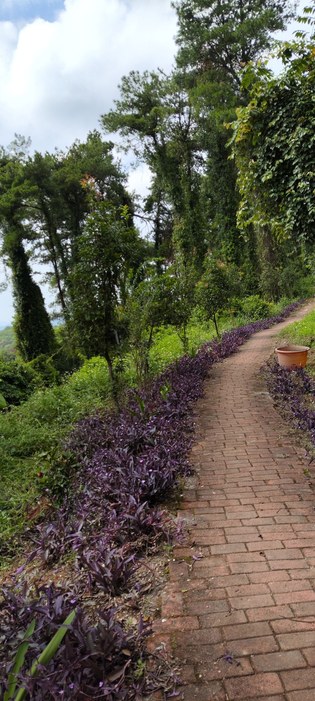 观音洞旅行图片 3
