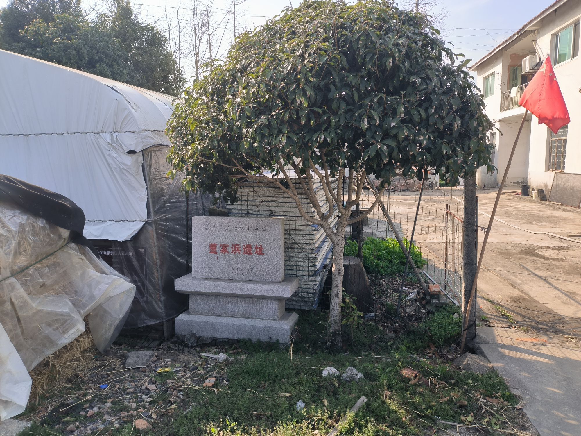 董家浜遗址旅行图片 1
