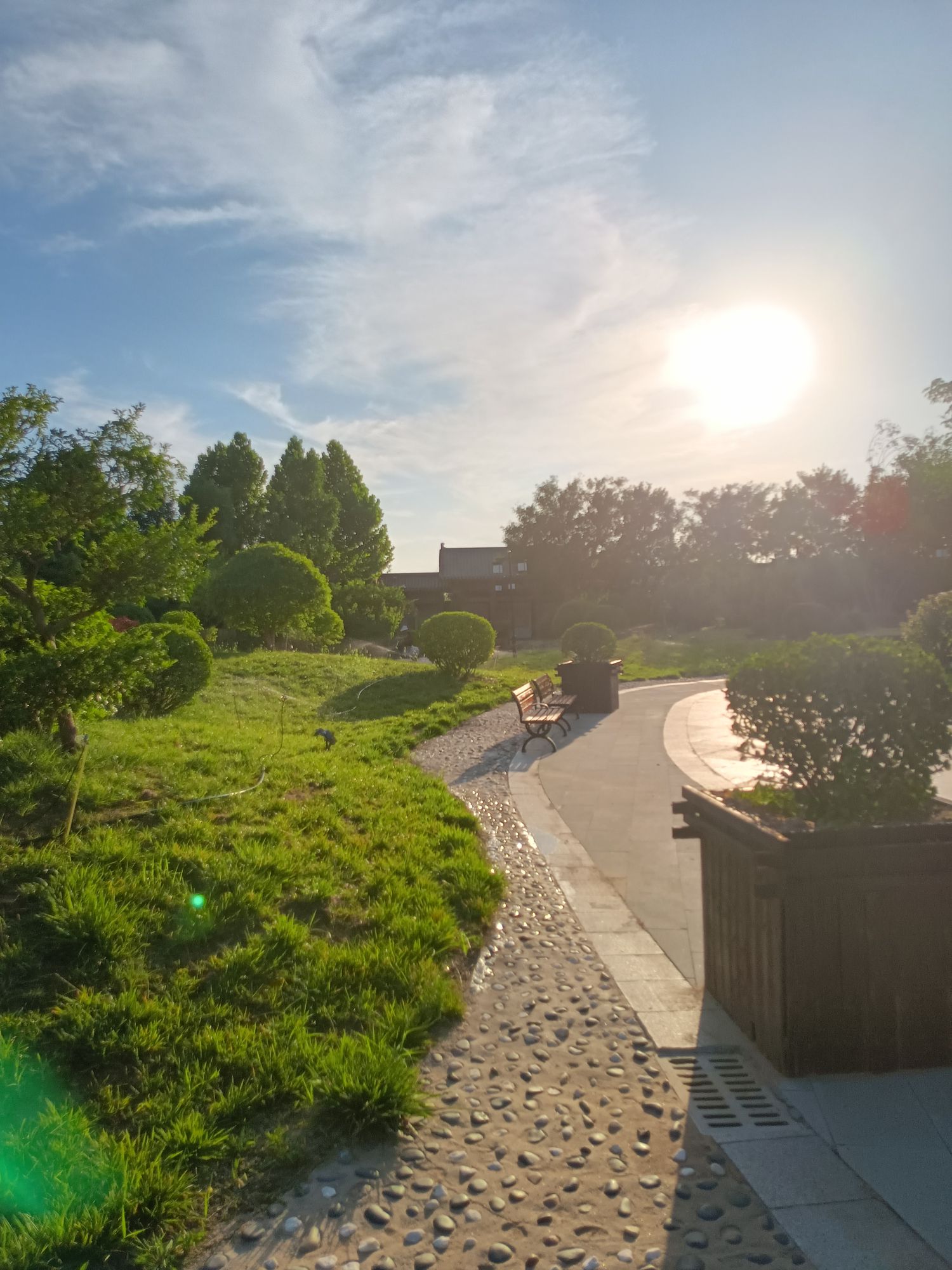 莲花公园旅行图片 2