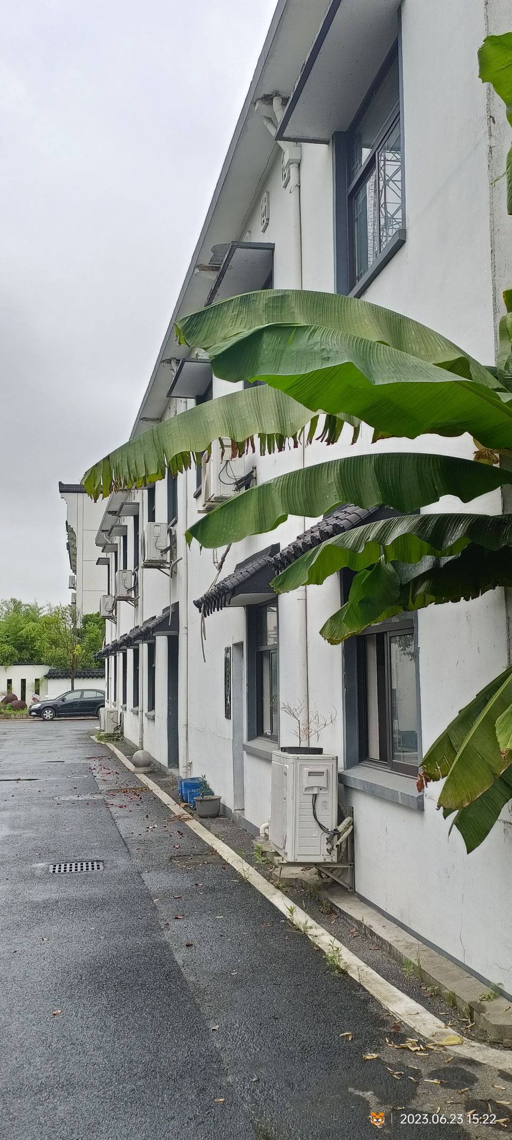 云龙村3A风景区旅行图片 3