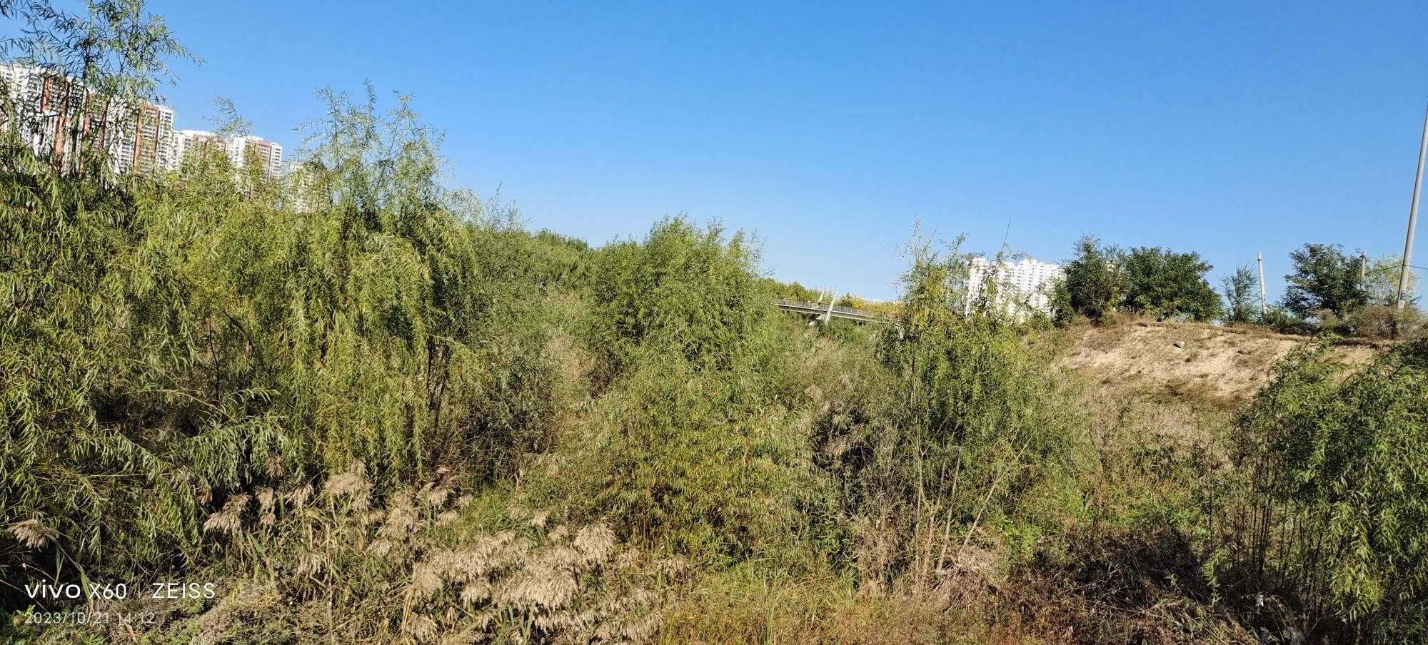 古现健康主题公园旅行图片 1