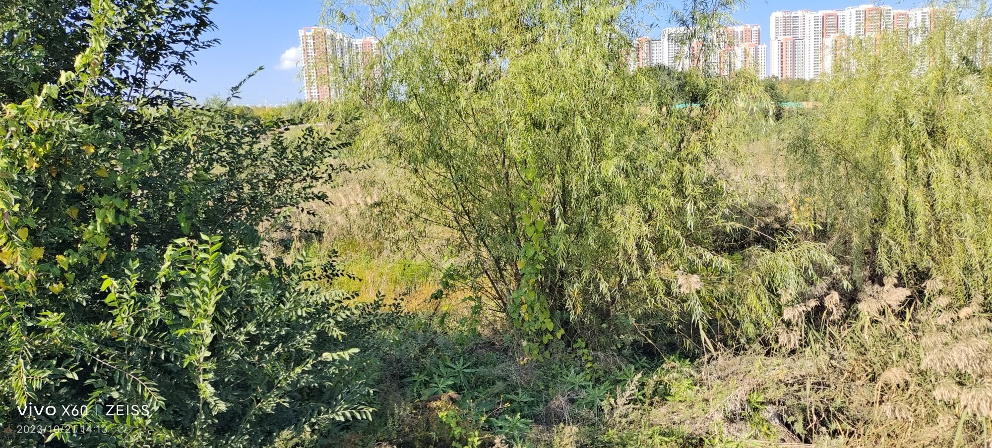 古现健康主题公园旅行图片 2