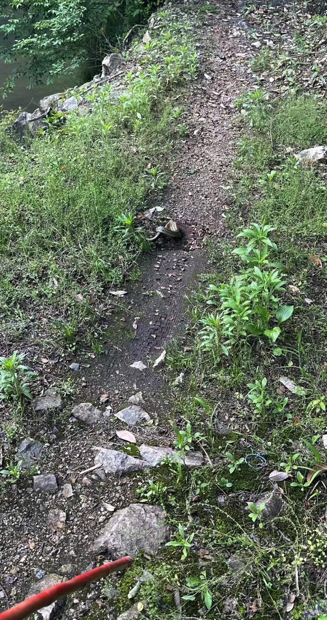 羊跳峡旅行图片