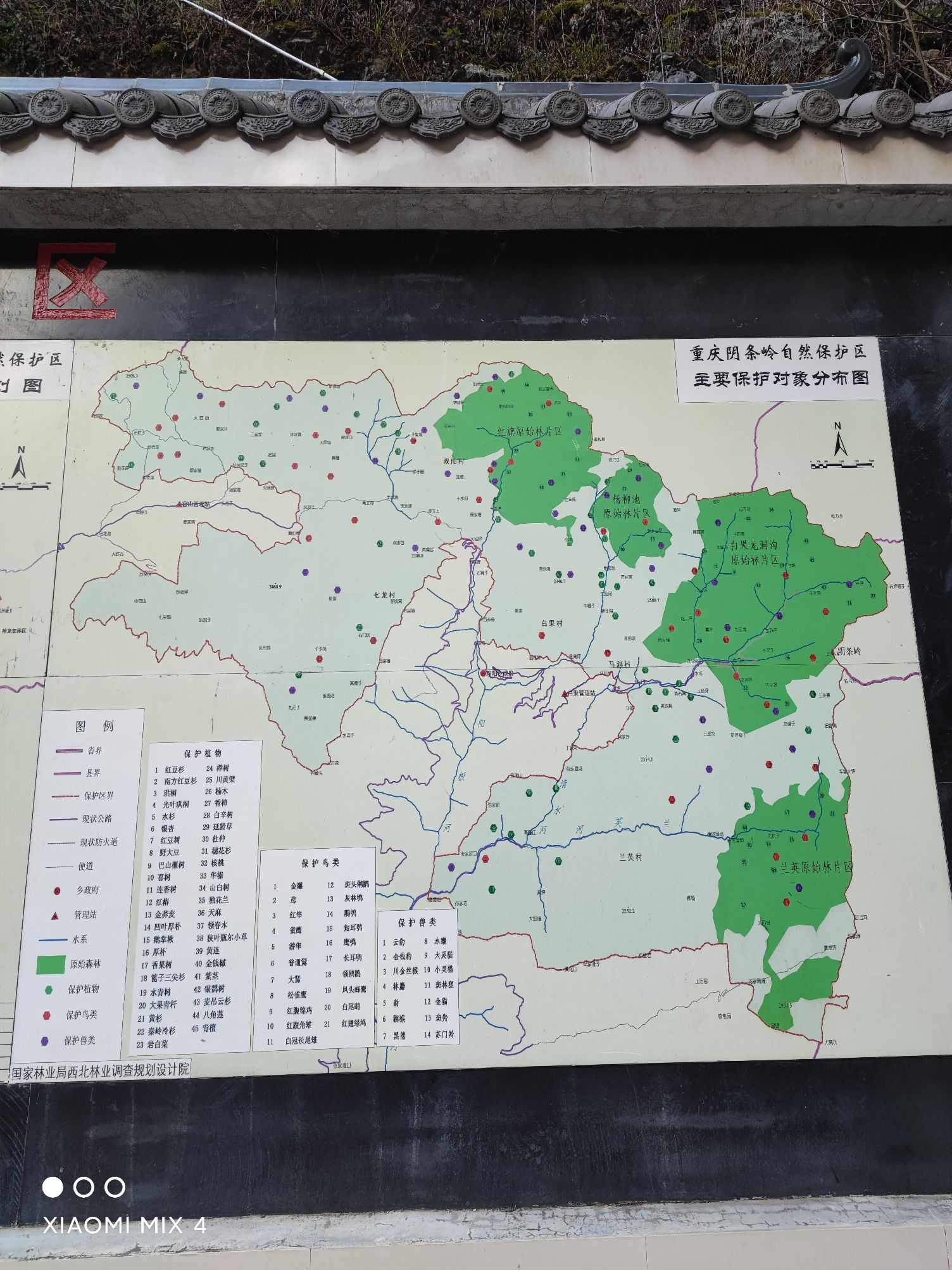 阴条岭自然保护区旅行图片 3