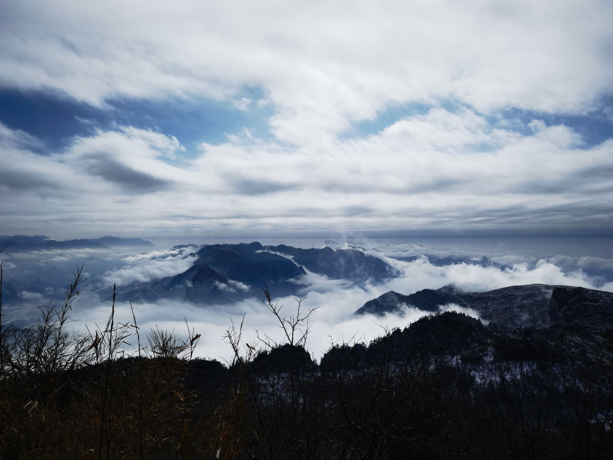 阴条岭自然保护区旅行图片 3